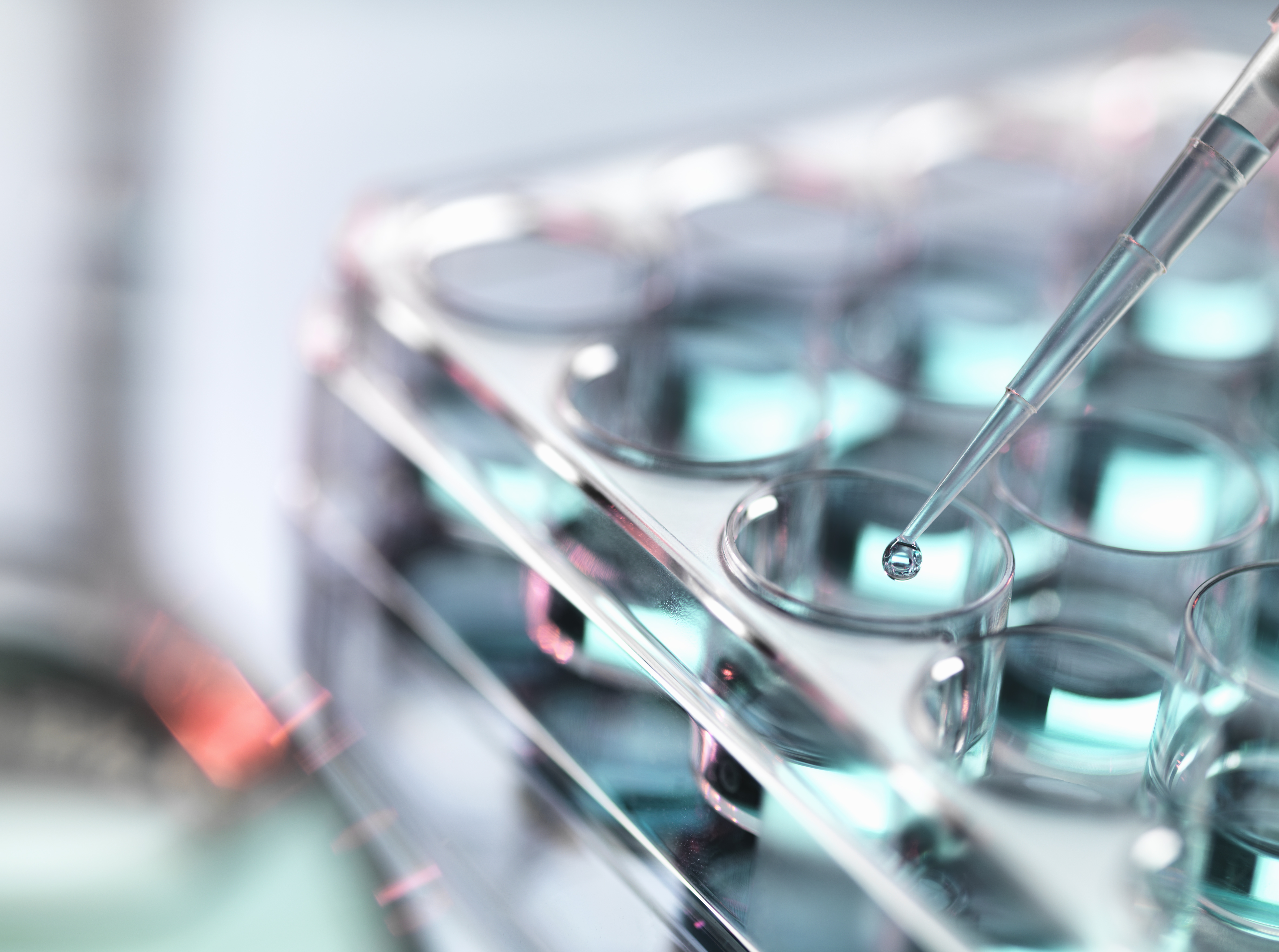 Pipetting sample into multi well tray