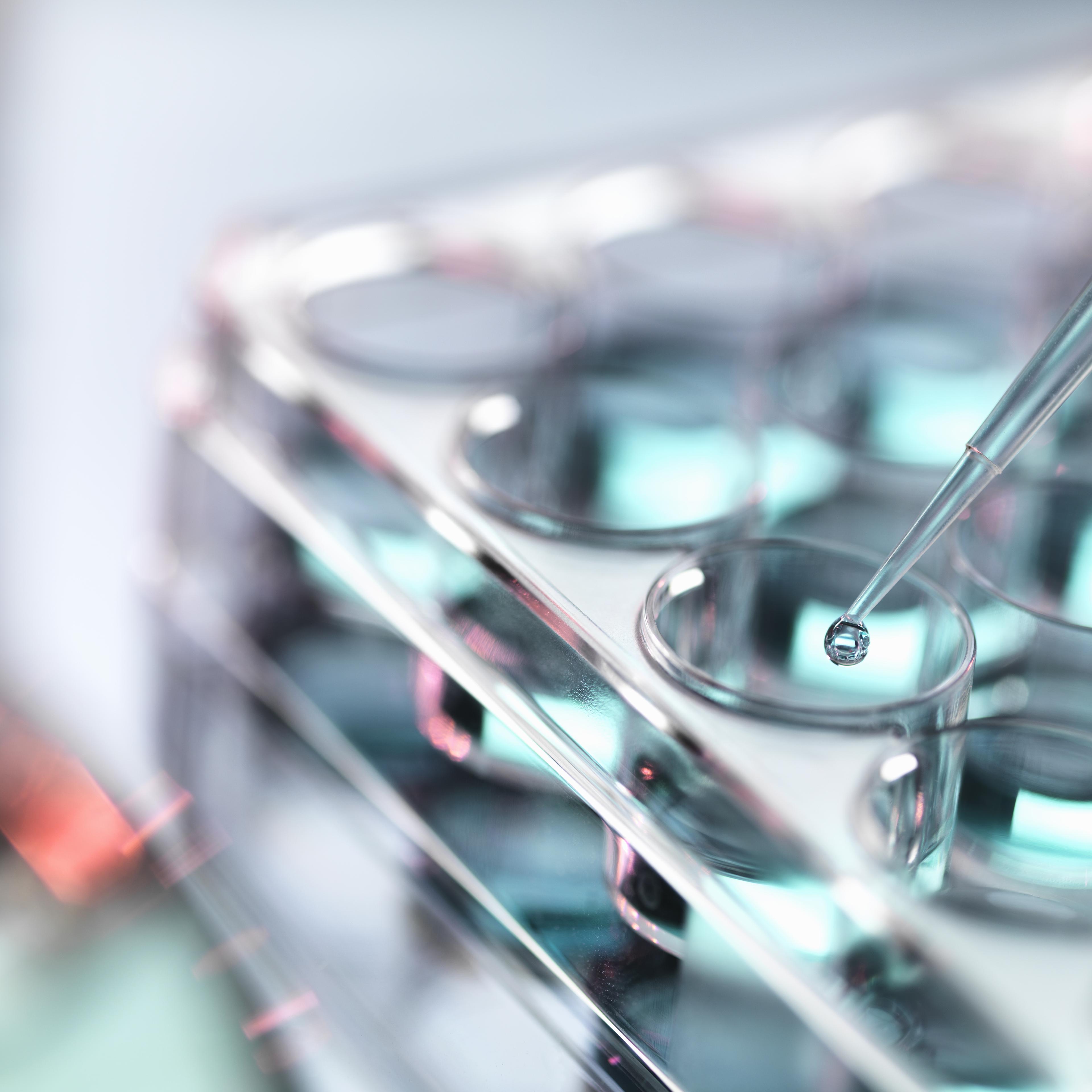 Pipetting sample into multi well tray