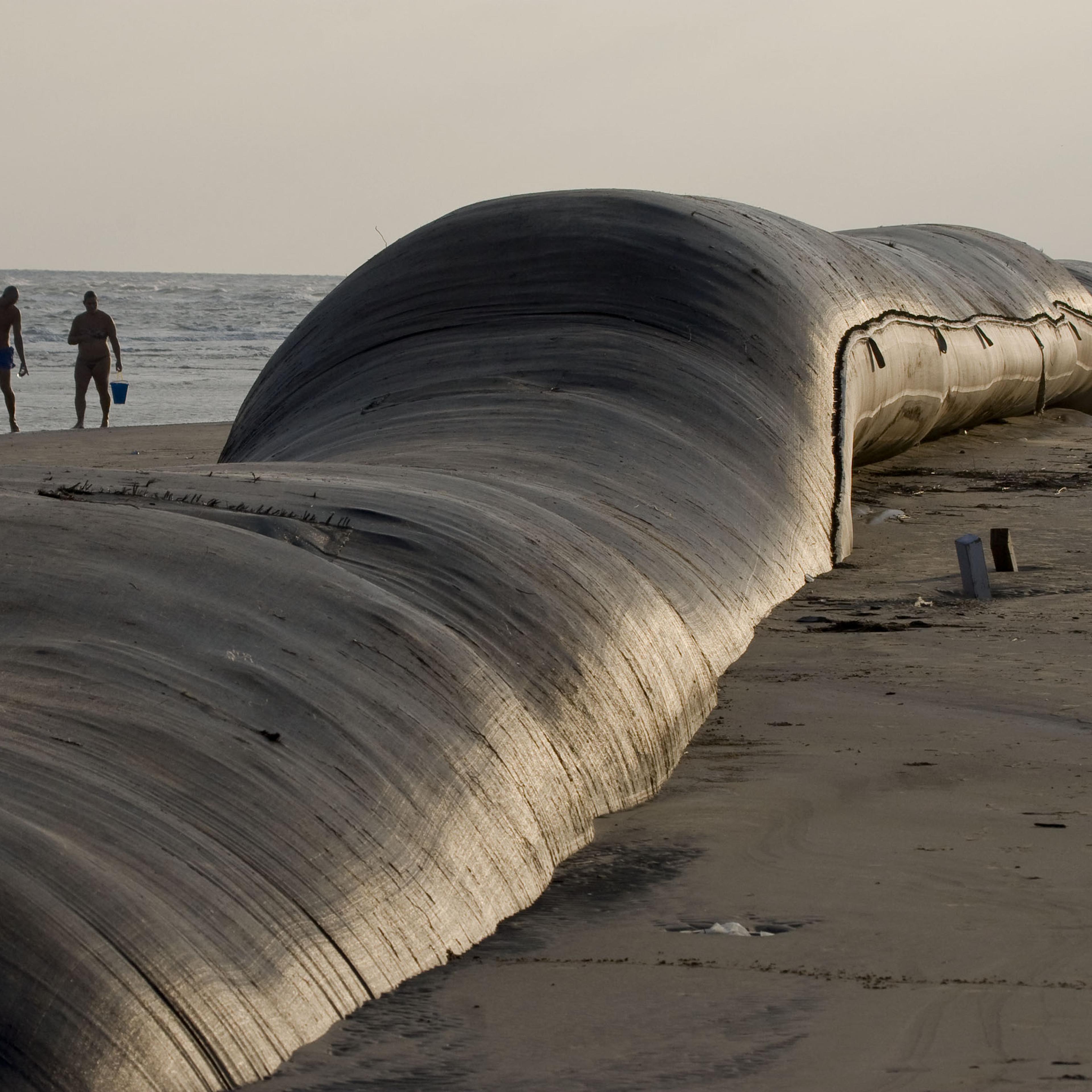 Galveston Recovers from Hurricane ike