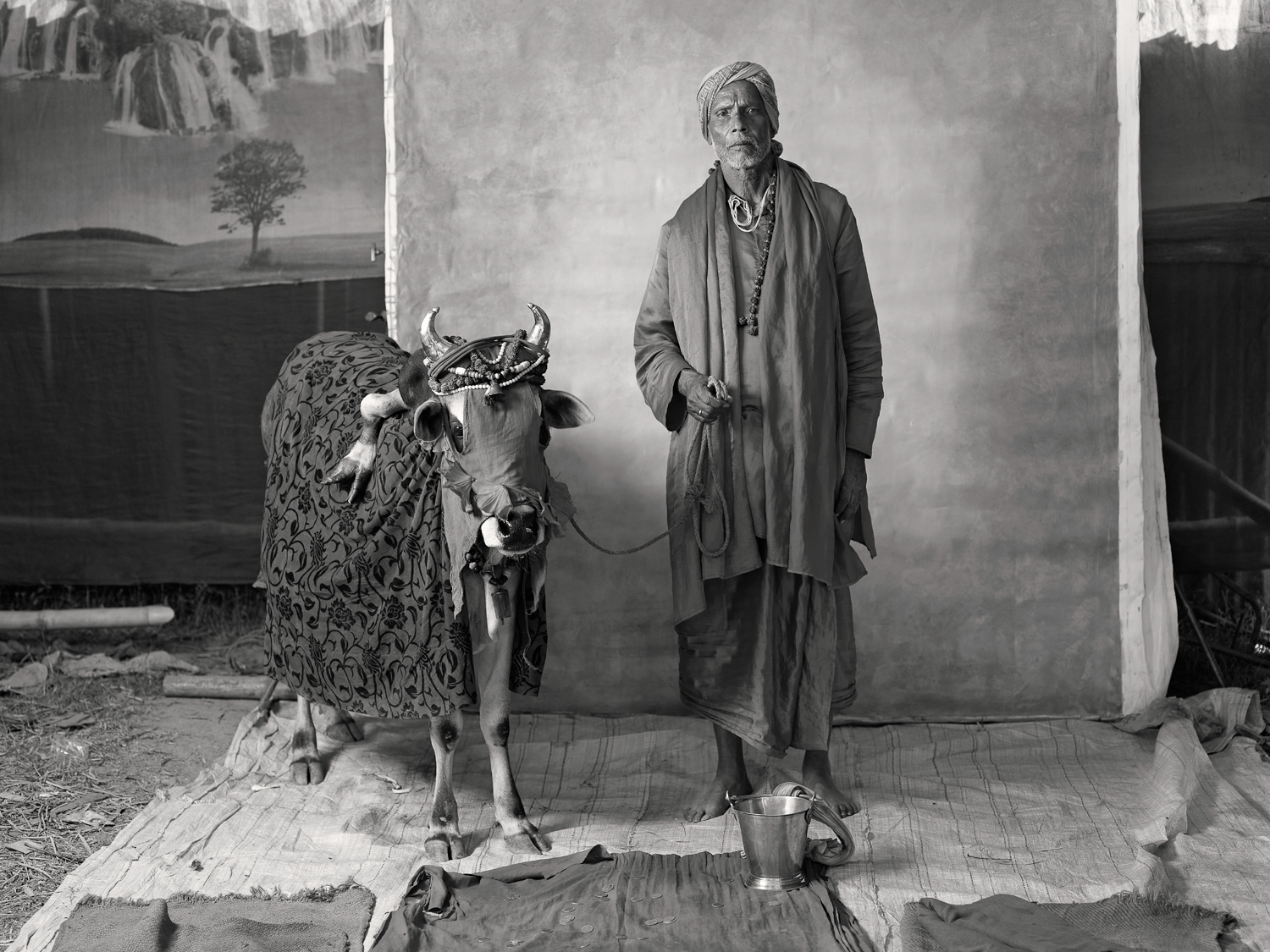 <i>Holy (ritualistic) brahmin with deformed cow, earning $20 per week</i>, 2012