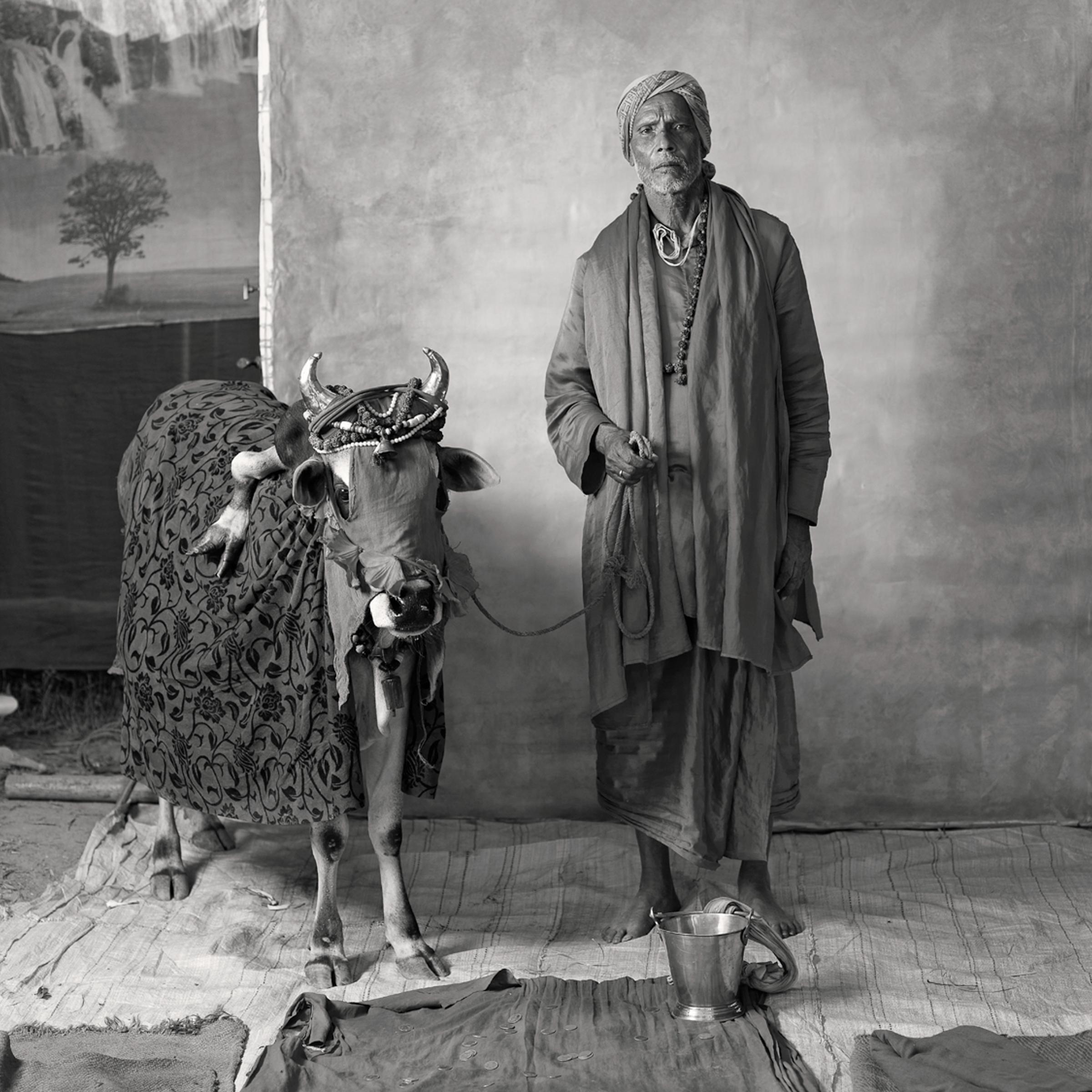<i>Holy (ritualistic) brahmin with deformed cow, earning $20 per week</i>, 2012