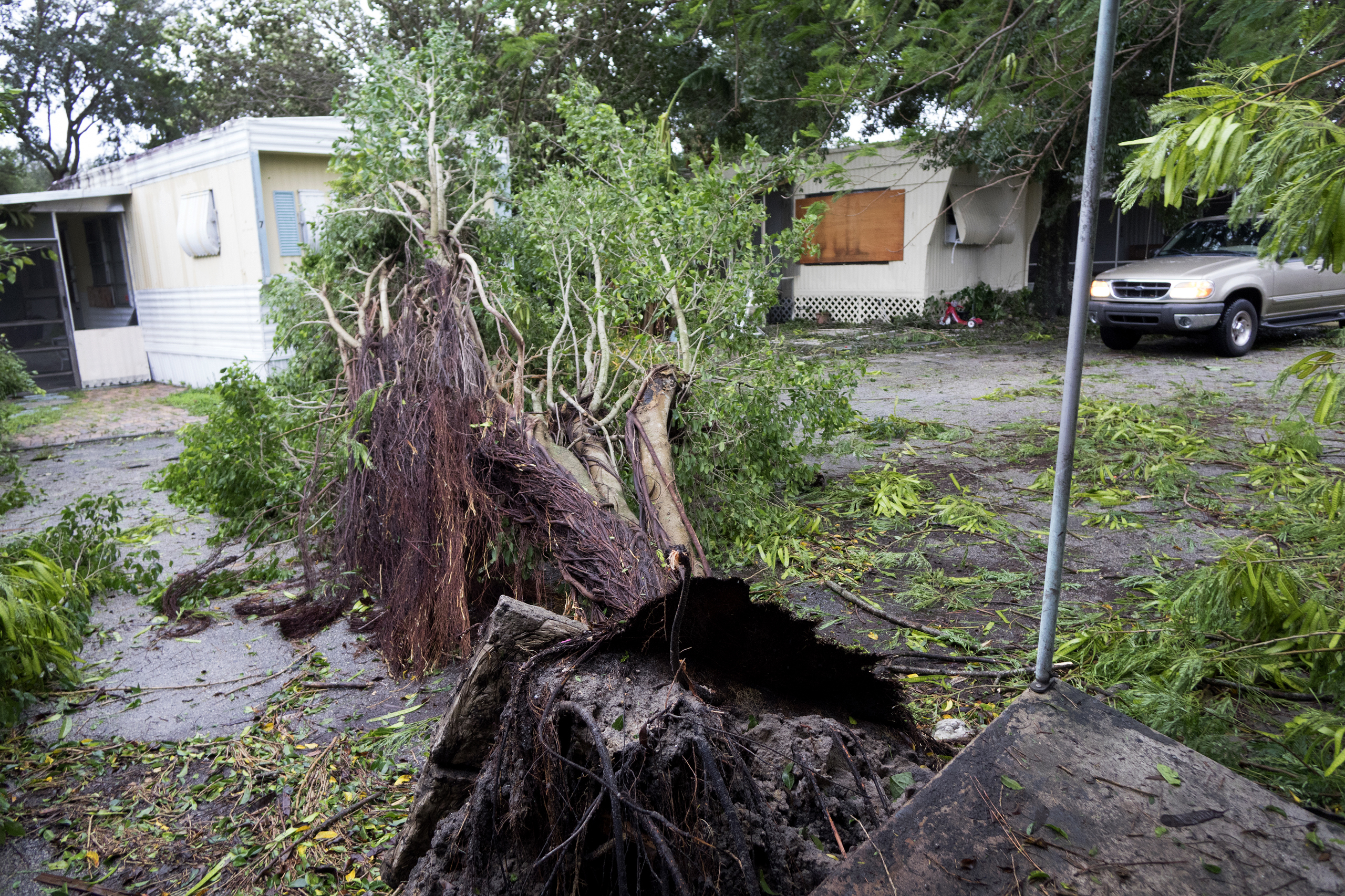 A fallen tree lays by the Seminole mobile home park, in Fort Pierce, Florida, on Oct. 7, 2016.