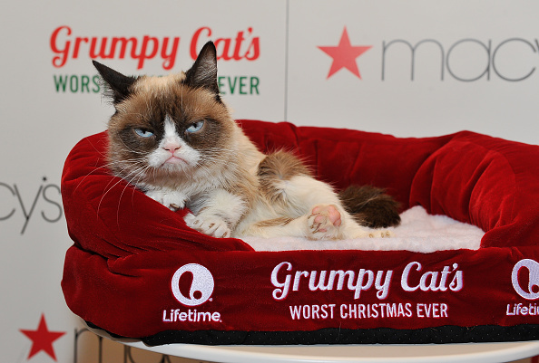 Lifetime's Grumpy Cat's Worst Christmas Ever