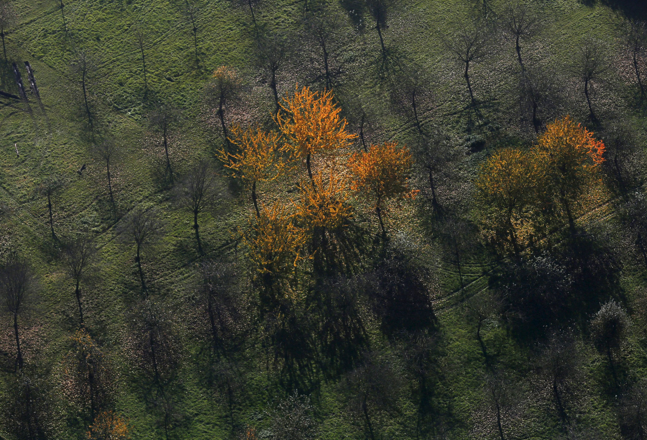 See the Breathtaking Colors of Germany in Autumn