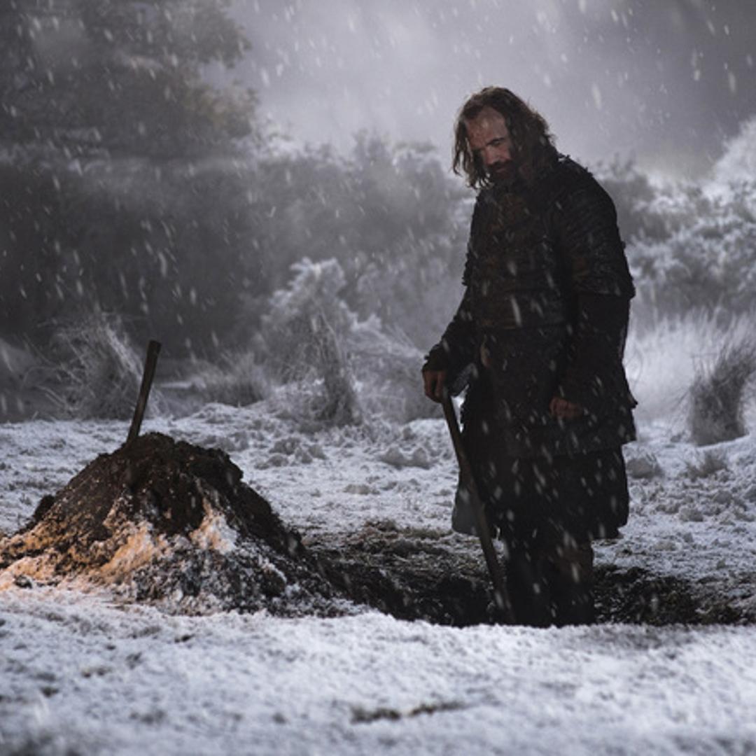 Rory McCann in Game of Thrones