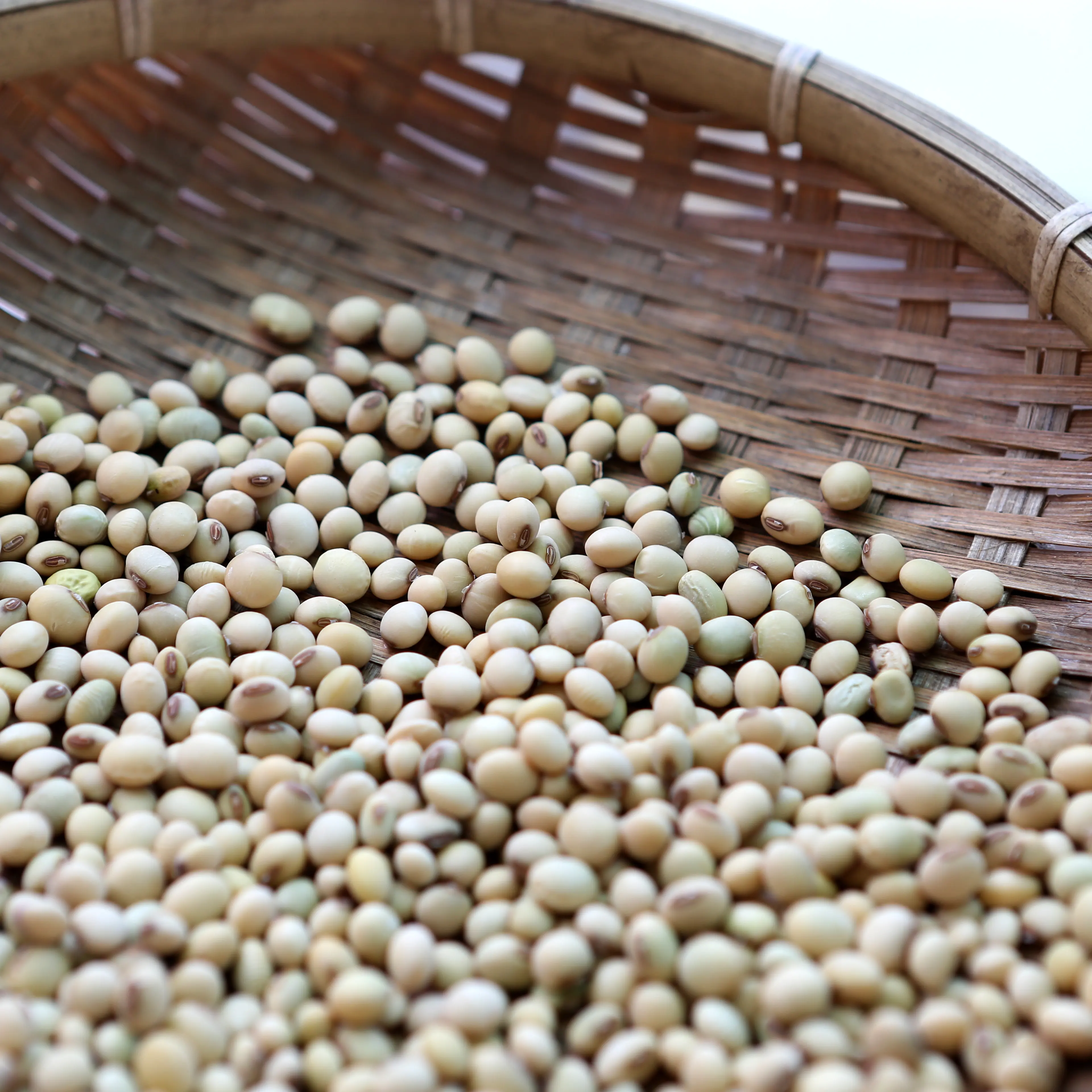 Soybeans in bamboo sieve