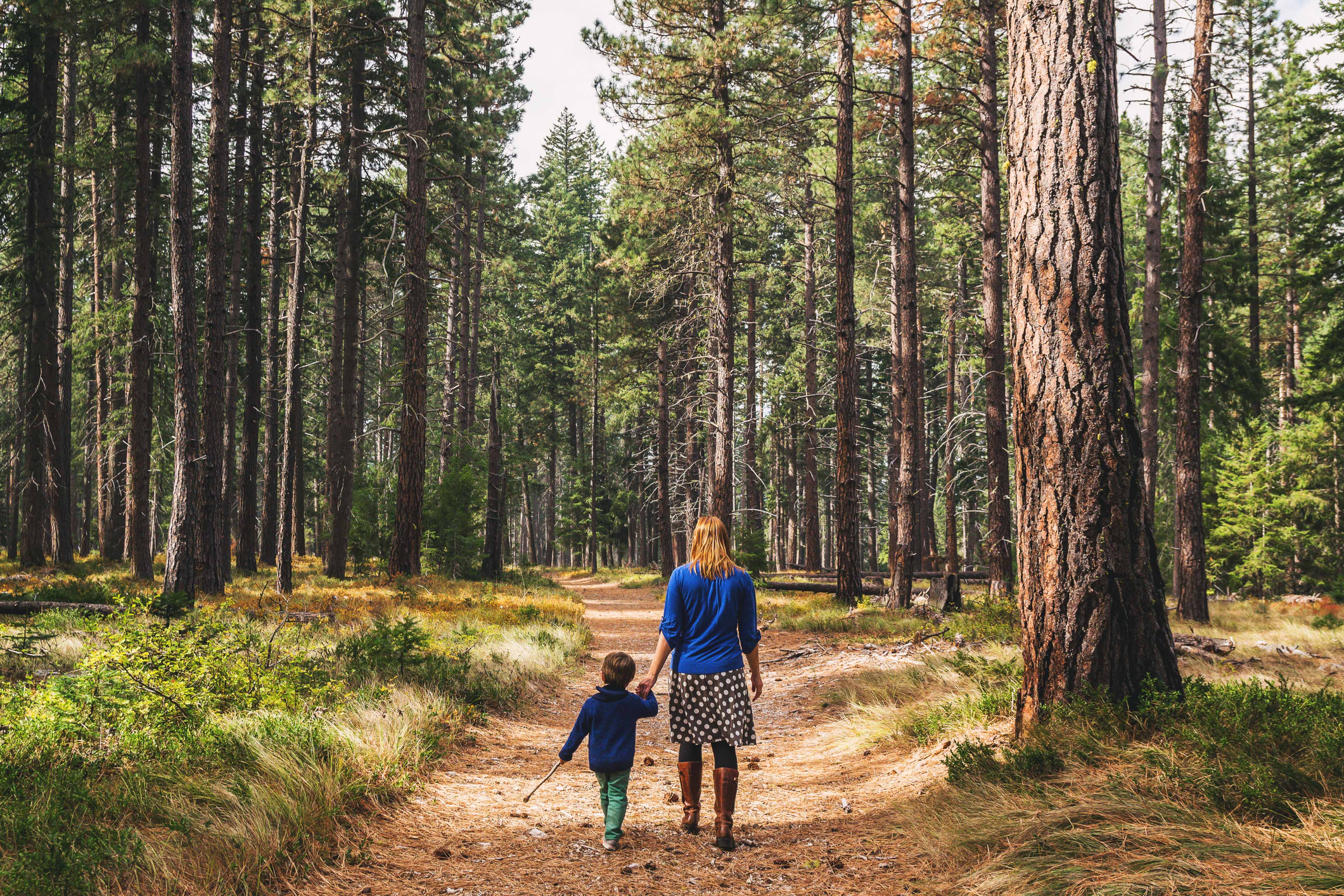 nature-walk-health-benefits