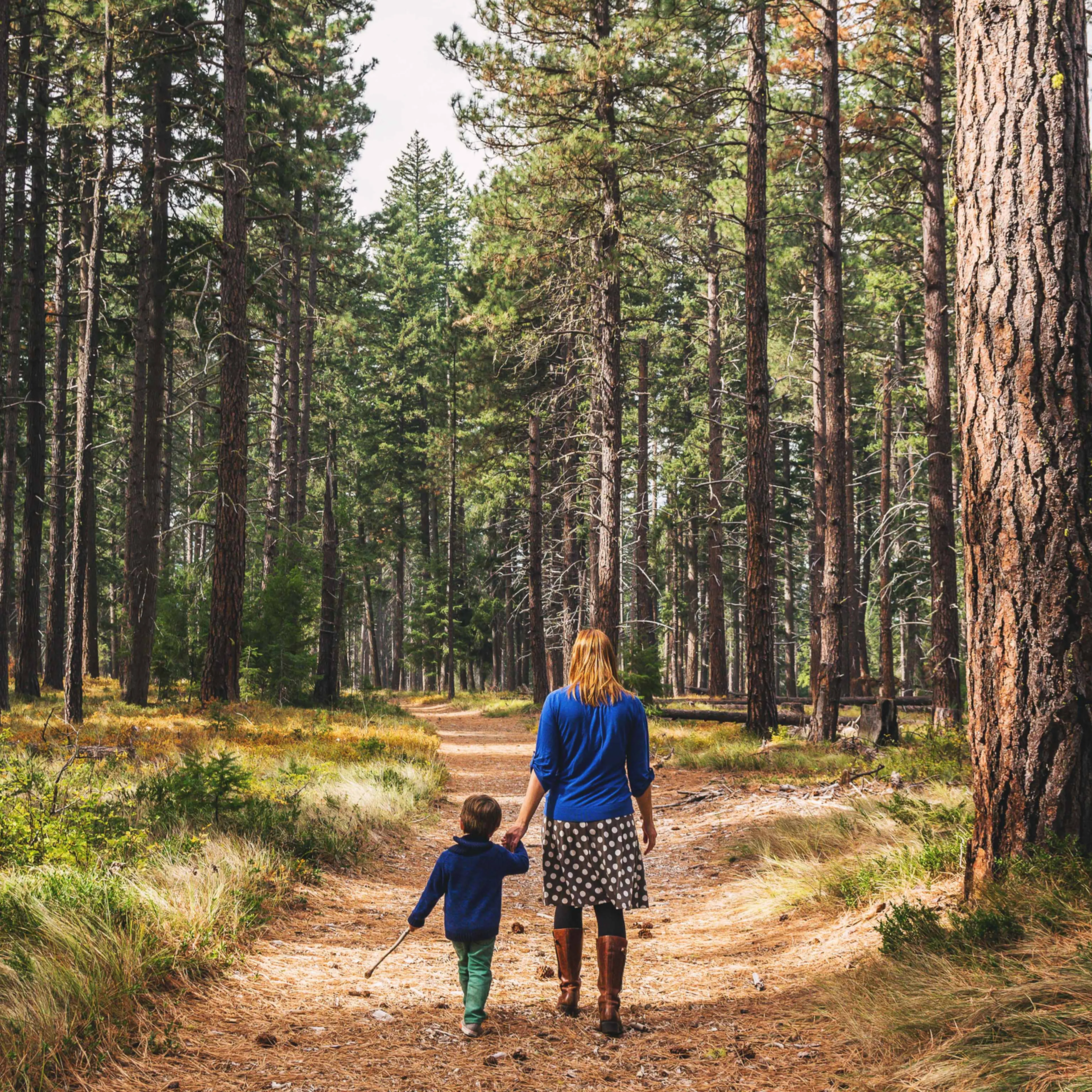nature-walk-health-benefits