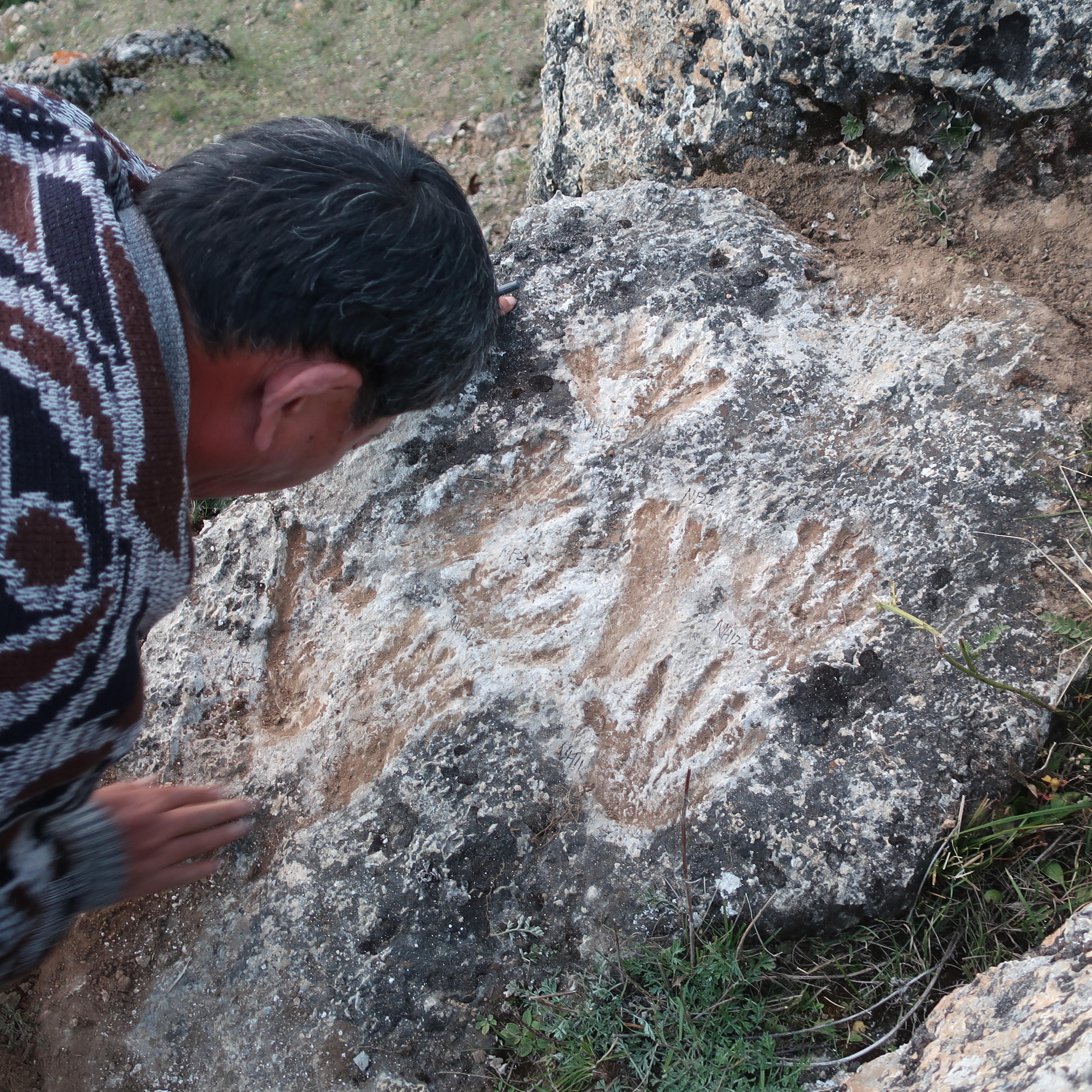Dr. David Zhang, a scientist from Guangzhou University in China, examines the footprints and handprints on the travertine rock in Quesang, Tibet. These impressions are thought to be the world's oldest parietal art.