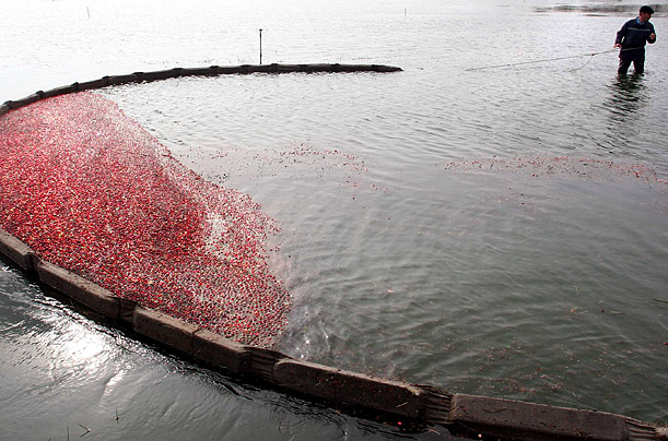 Alexey Gromov / AFP / Getty