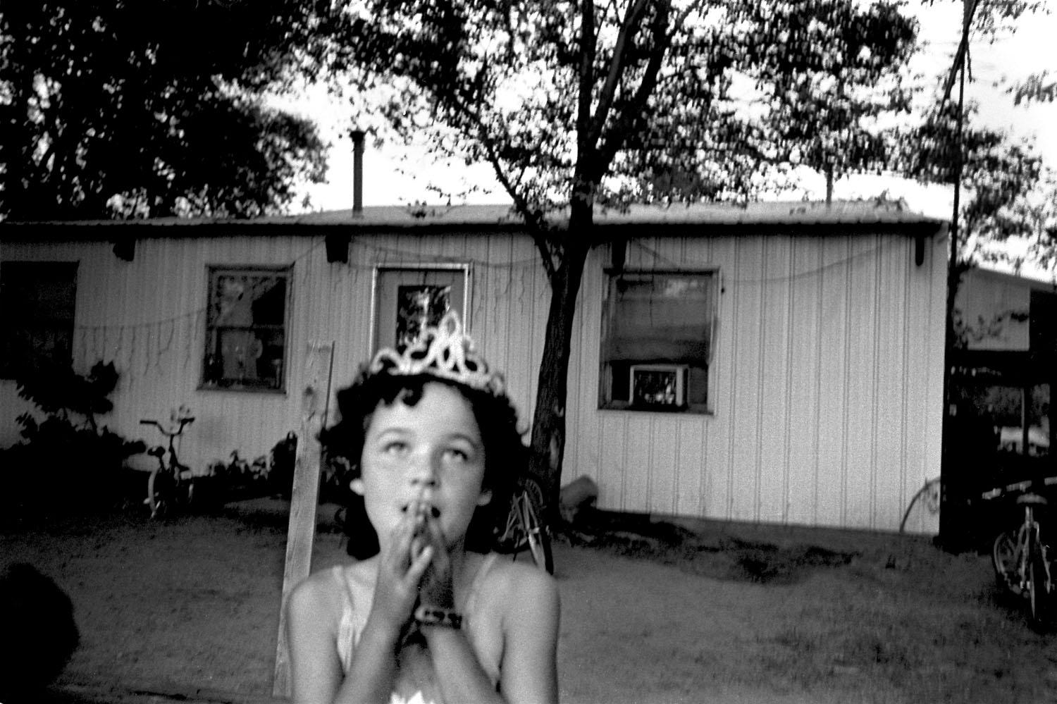 Driftless: Photographs from Iowa