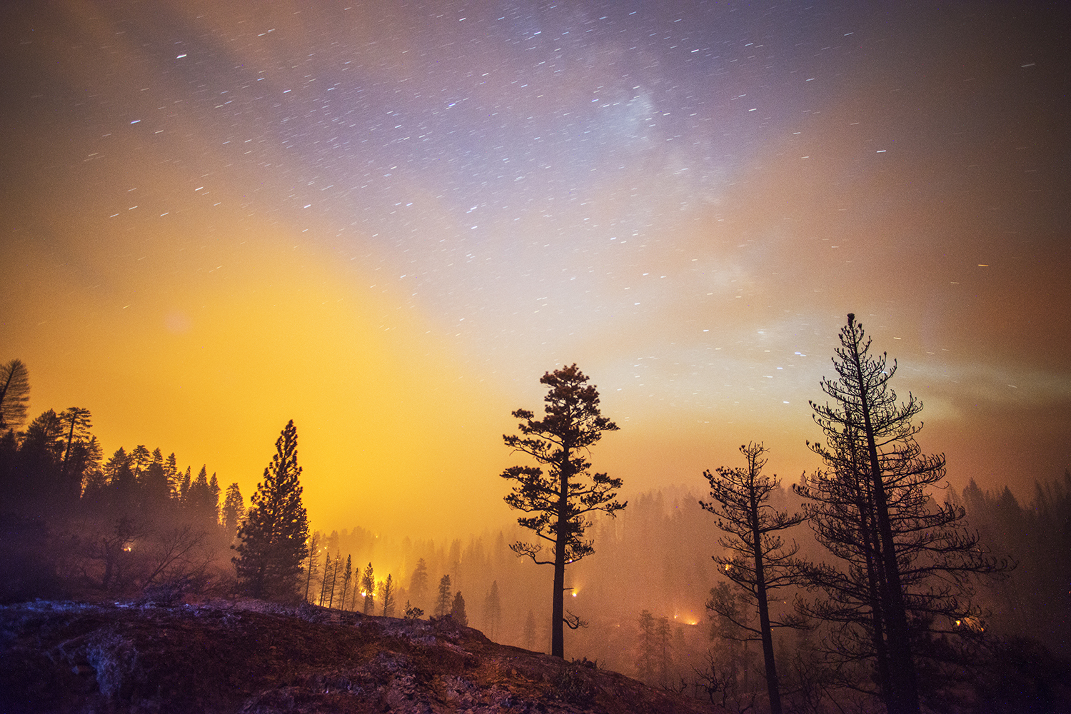 Chasing Blazes: Stuart Palley's Photos of Wildfires