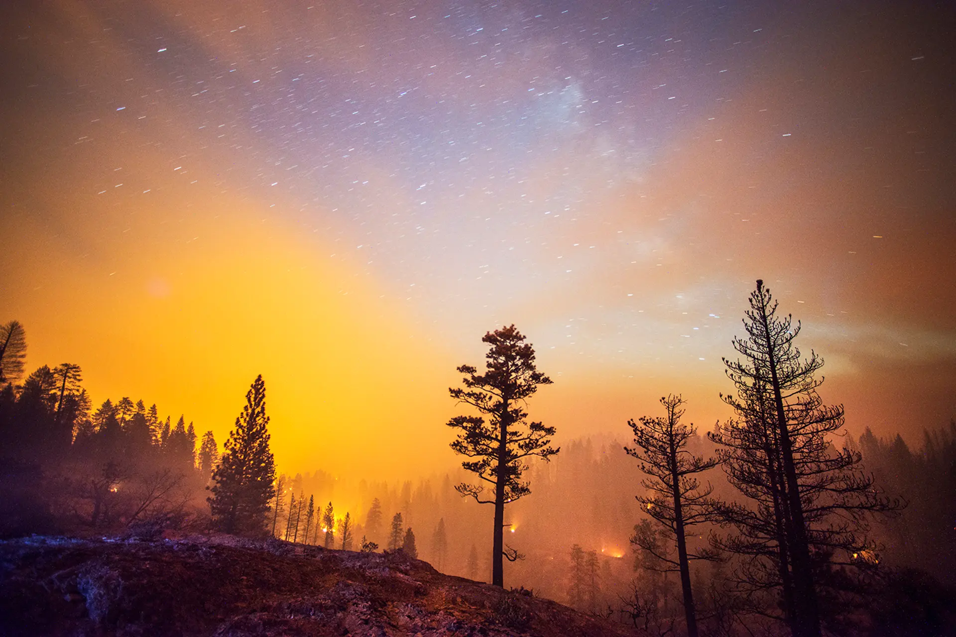 Stuart Palley Chasing Blazes: Stuart Palley's Photos of Wildfires