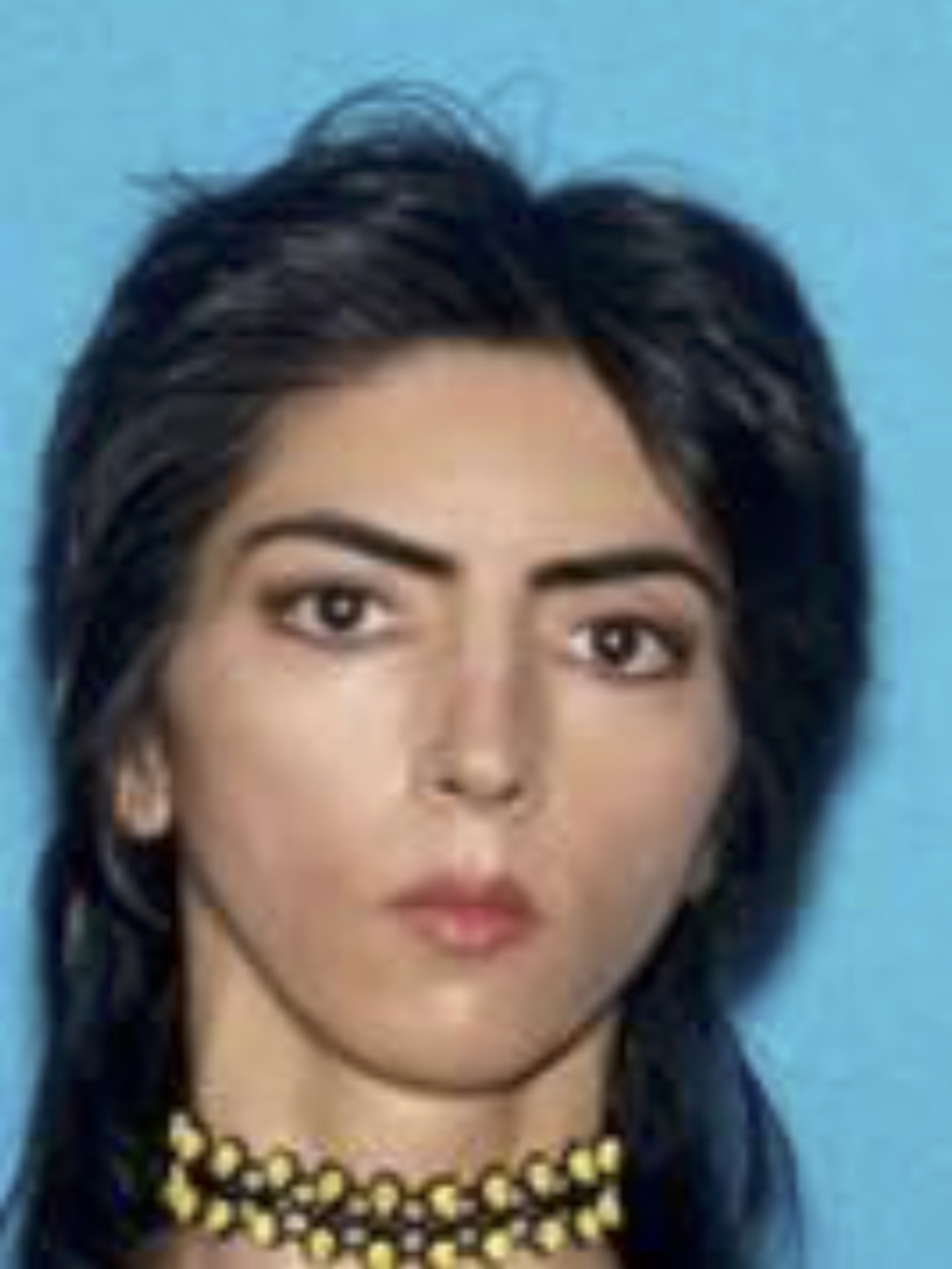 Nasim Najafi Aghdam, Nasim Aghdam