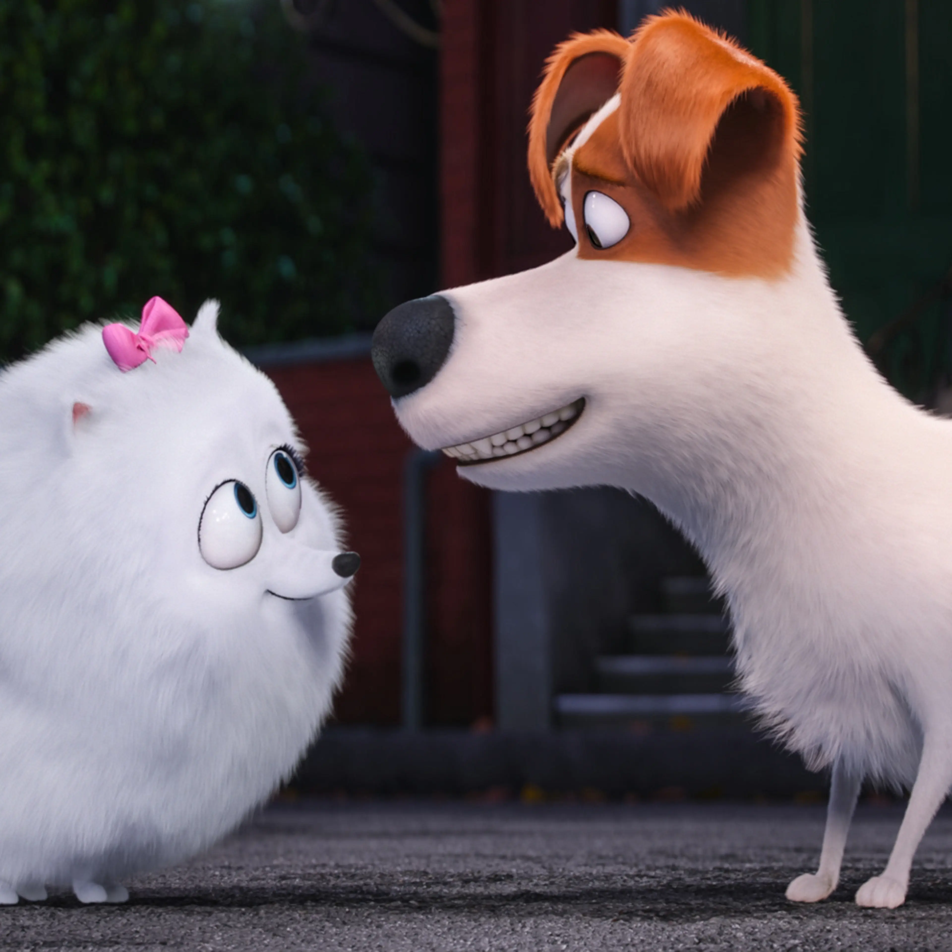 Gidget, voiced by Jenny Slate, left, and Max, voiced by Louis C.K. in The Secret Lives of Pets.