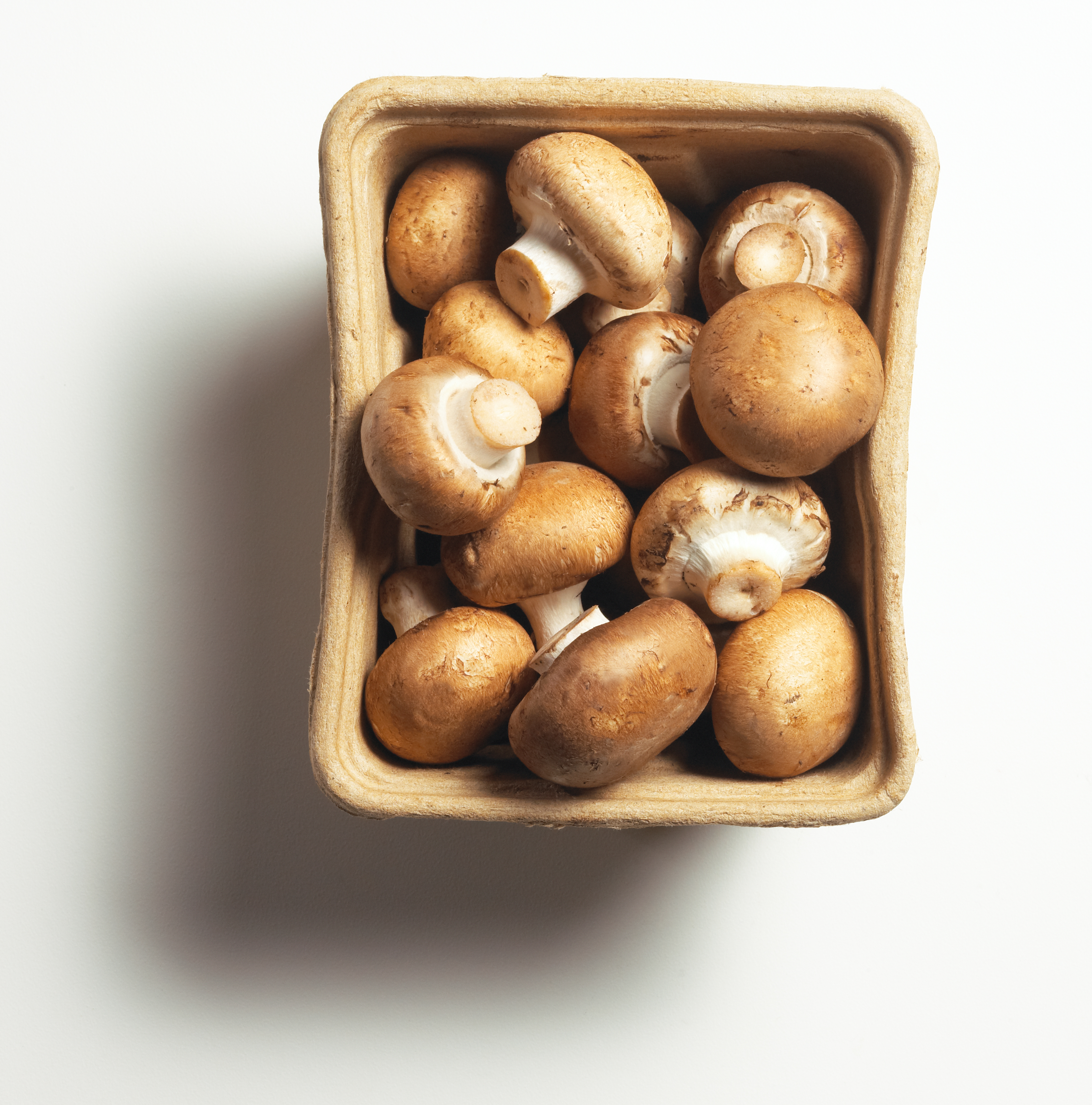 Mushrooms