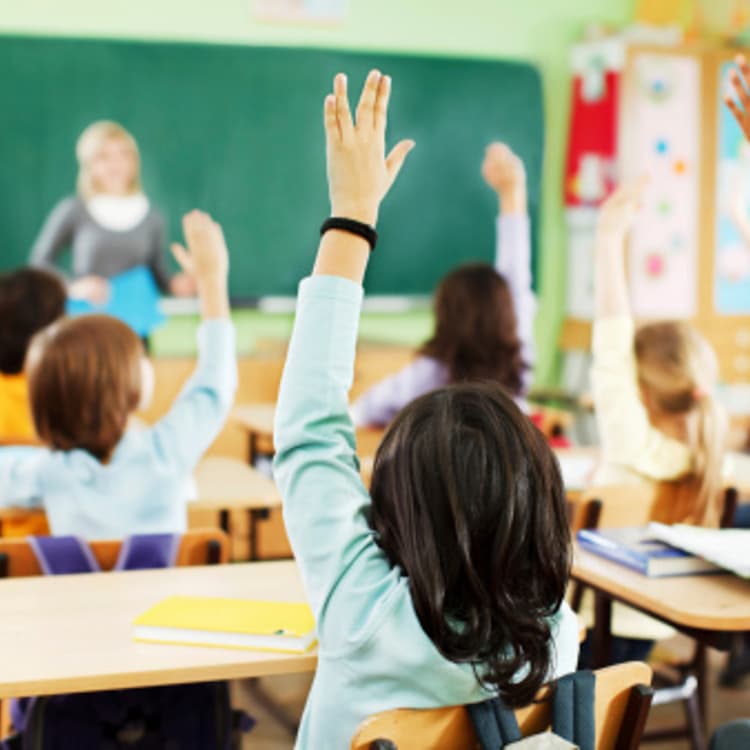 students-raising-hands-classroom