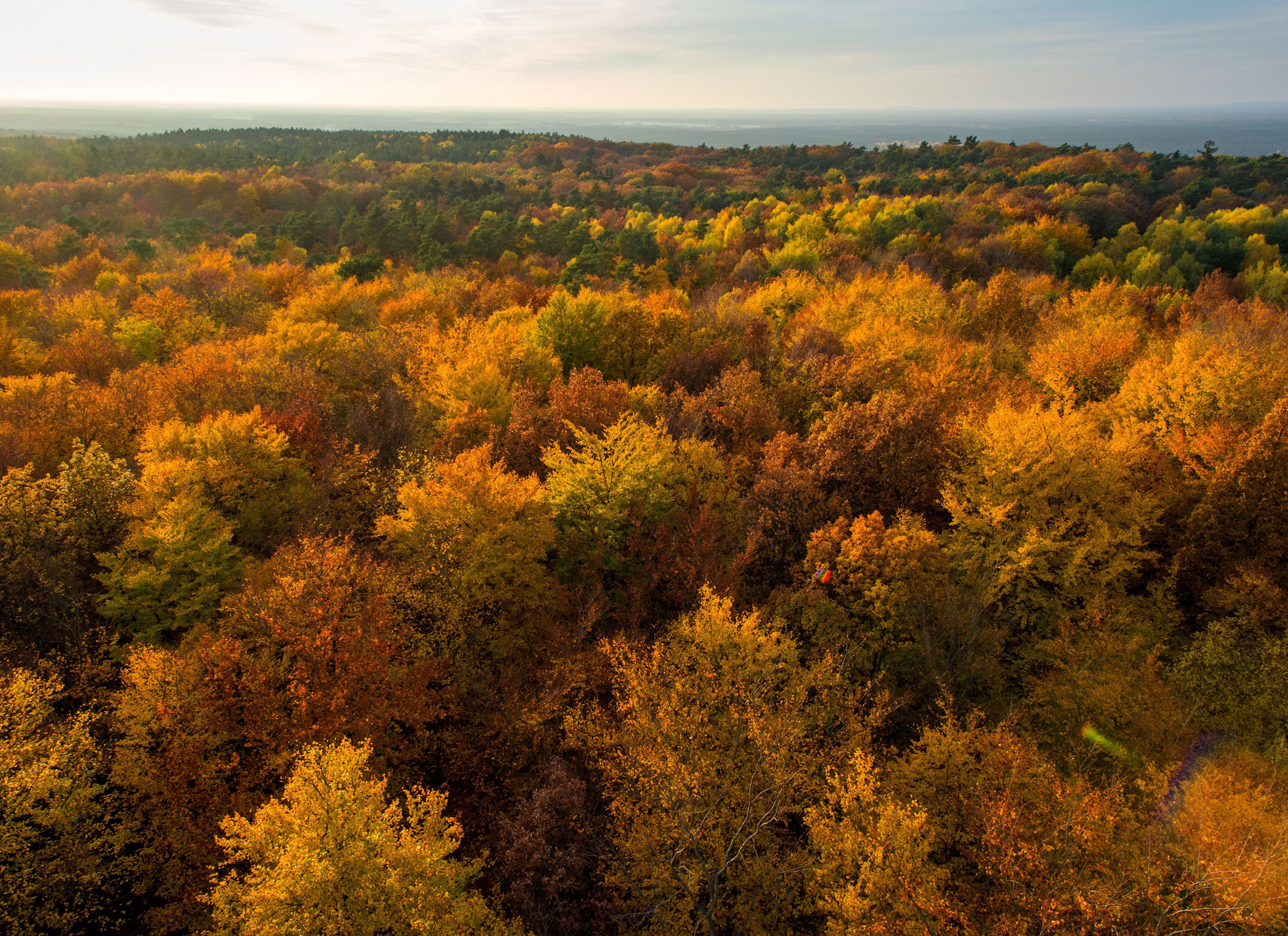 See the Breathtaking Colors of Germany in Autumn