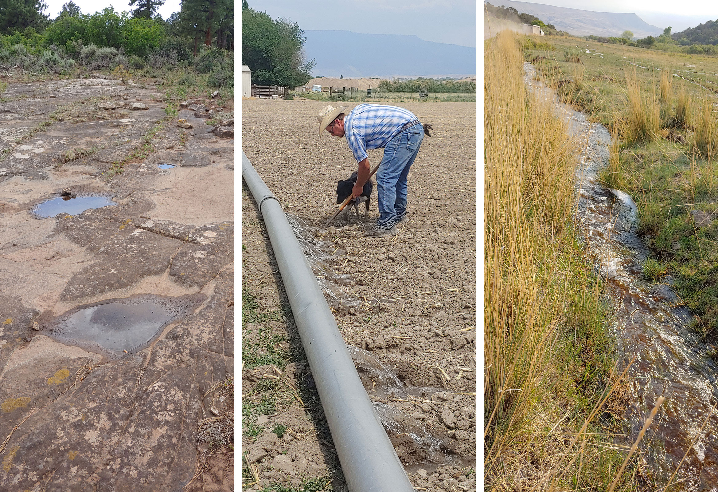 Limited irrigation water this spring in the West has put pressure on operations like those at VanWinkle Ranch.