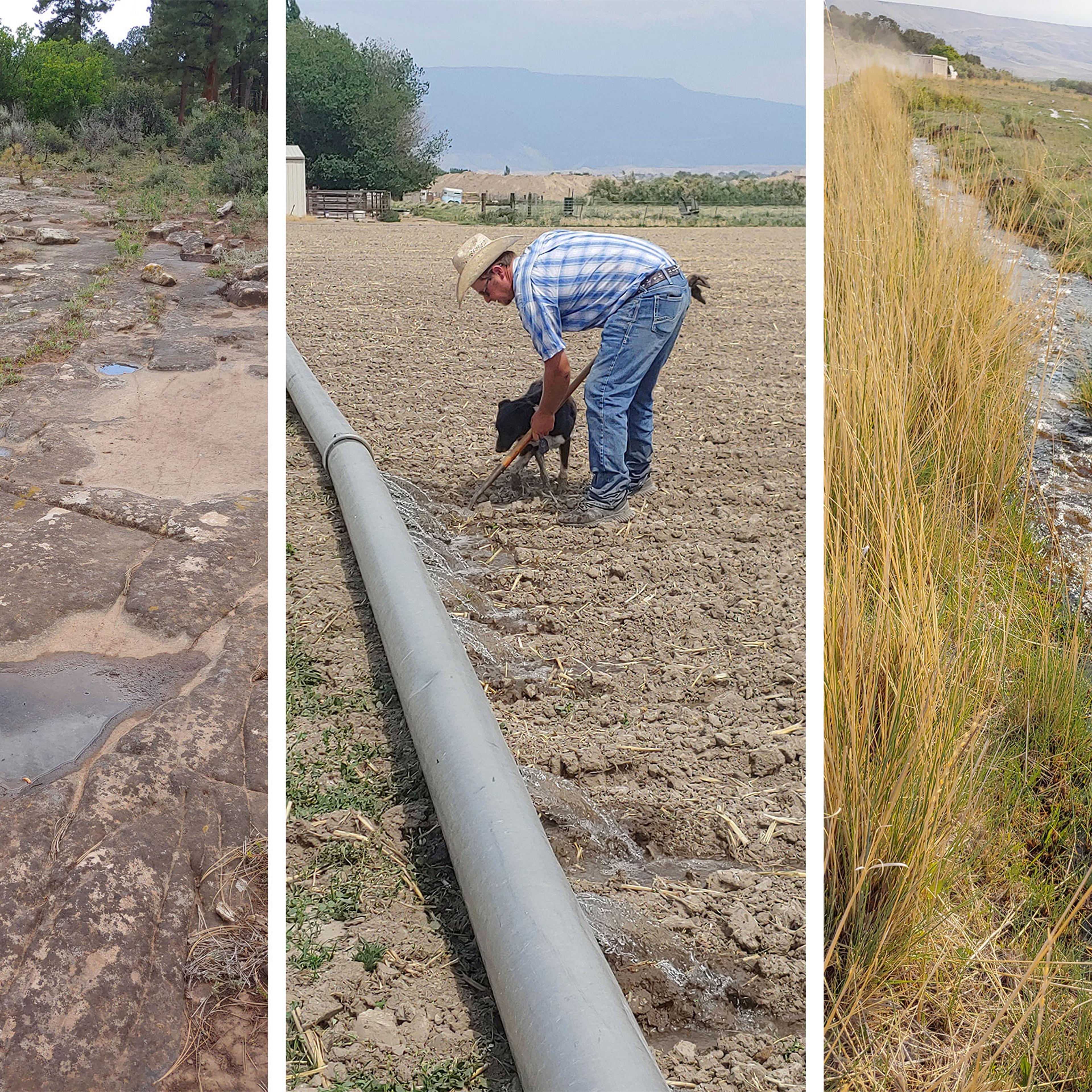 Limited irrigation water this spring in the West has put pressure on operations like those at VanWinkle Ranch.
