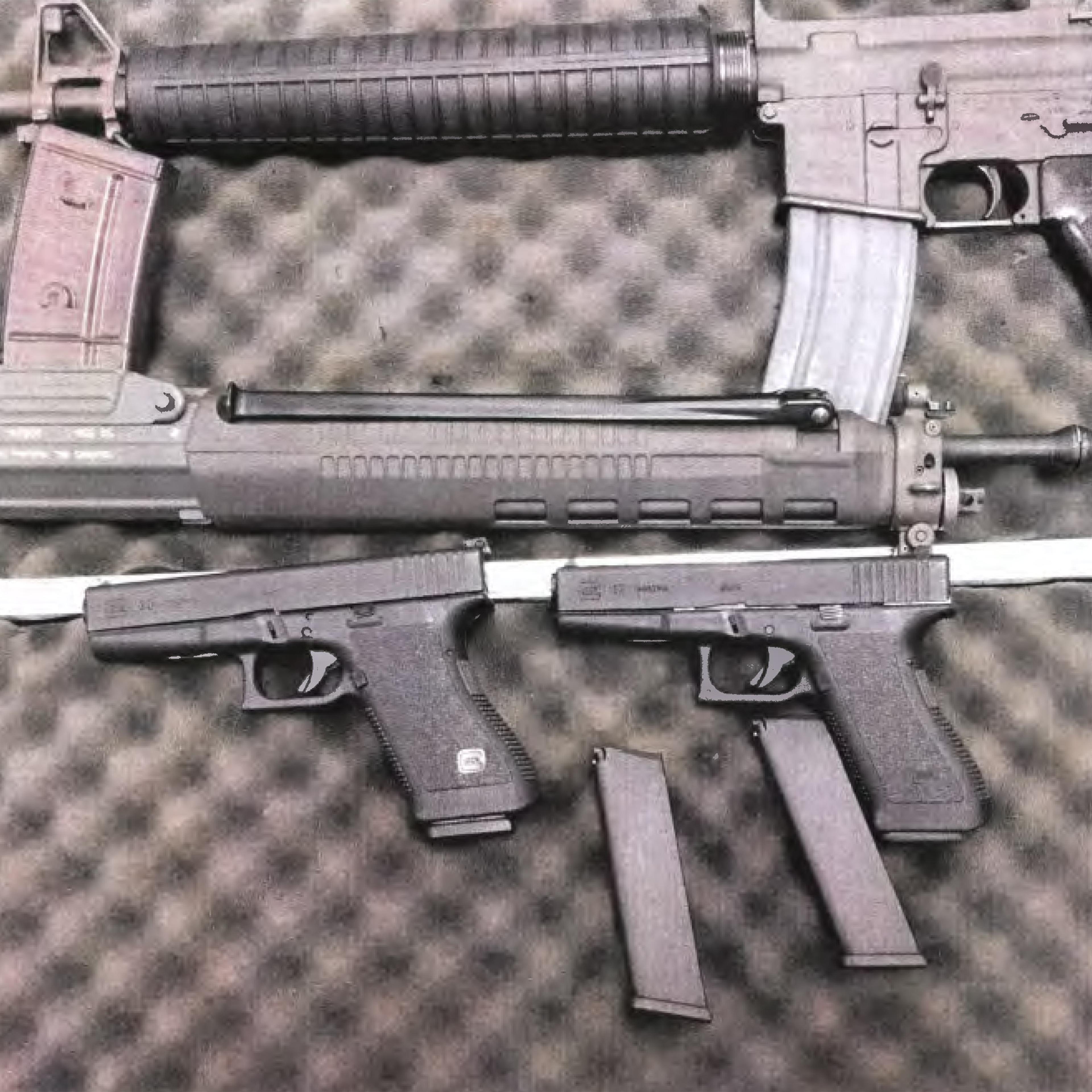 Firearms purchased by Alexander Ciccolo