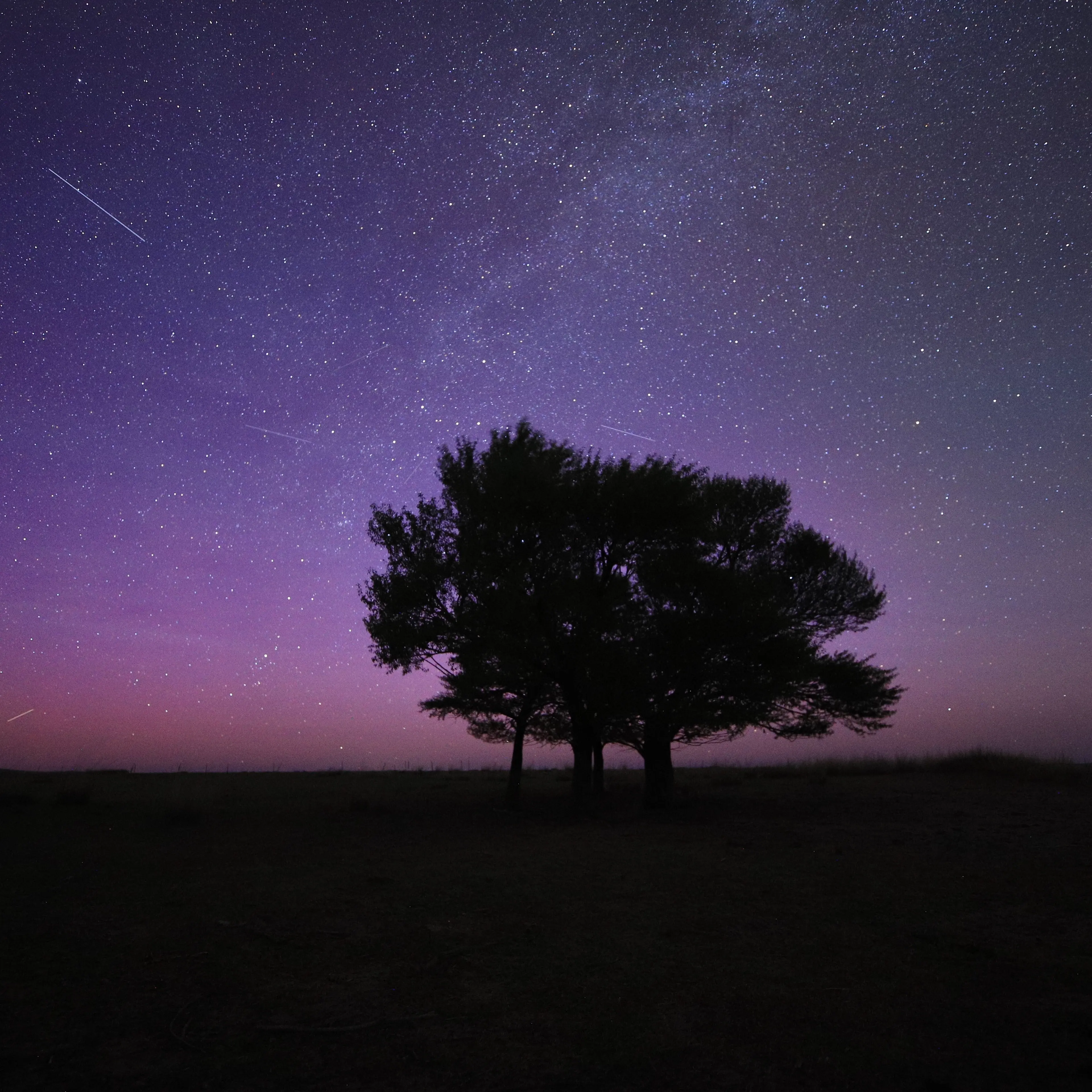Aurora Borealis Light Up The Sky Across China In Geomagnetic Storm