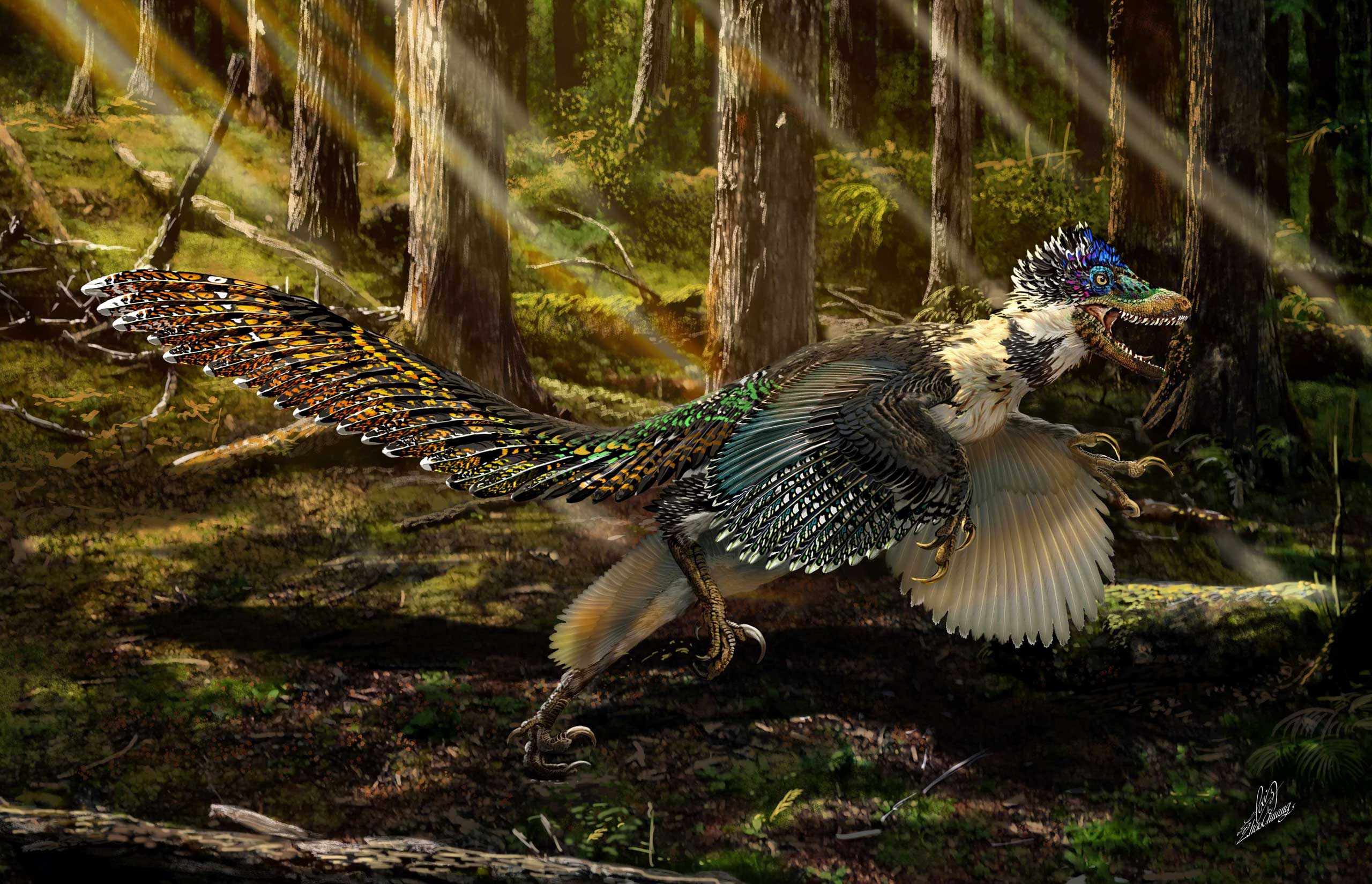 Velociraptor Dinosaur