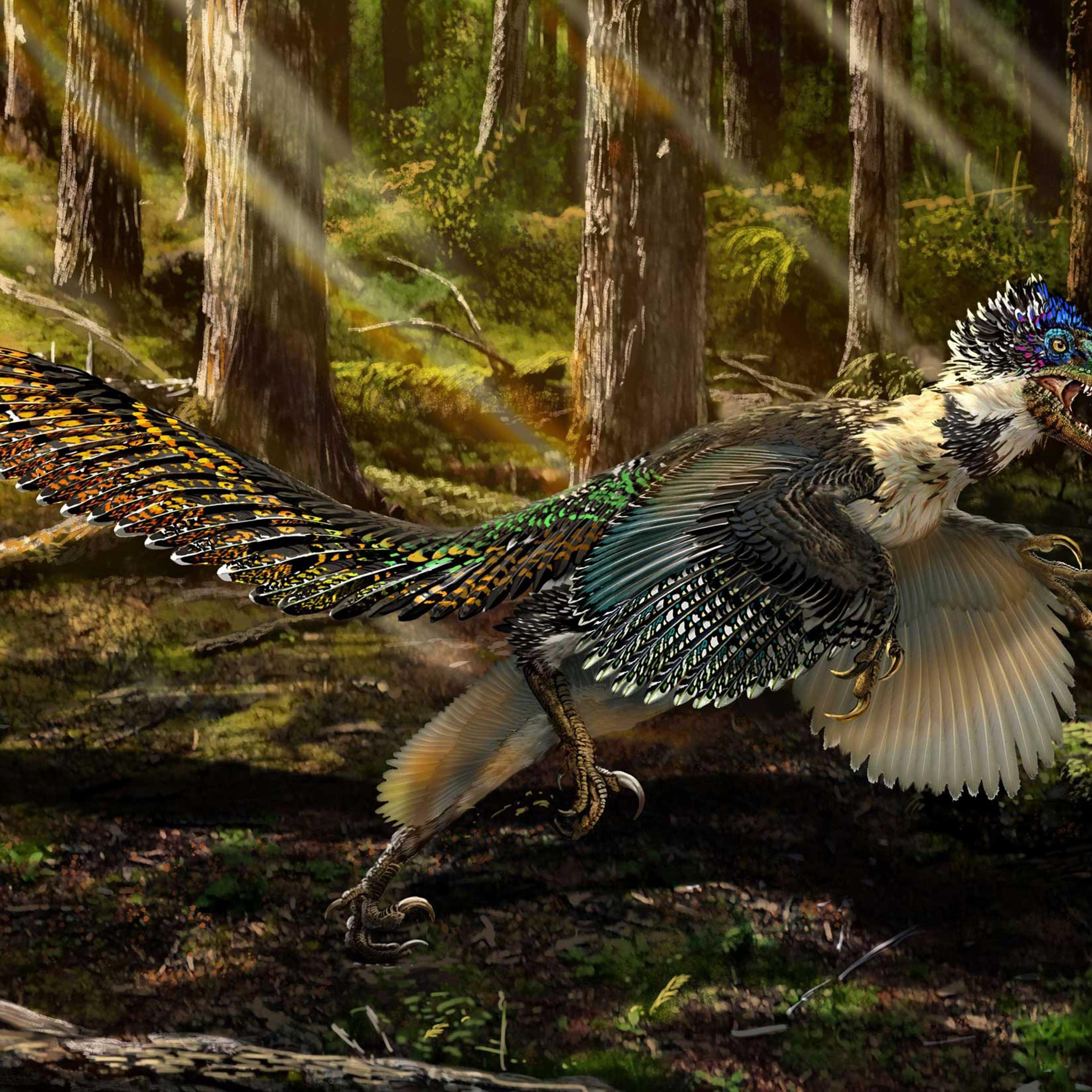 Velociraptor Dinosaur