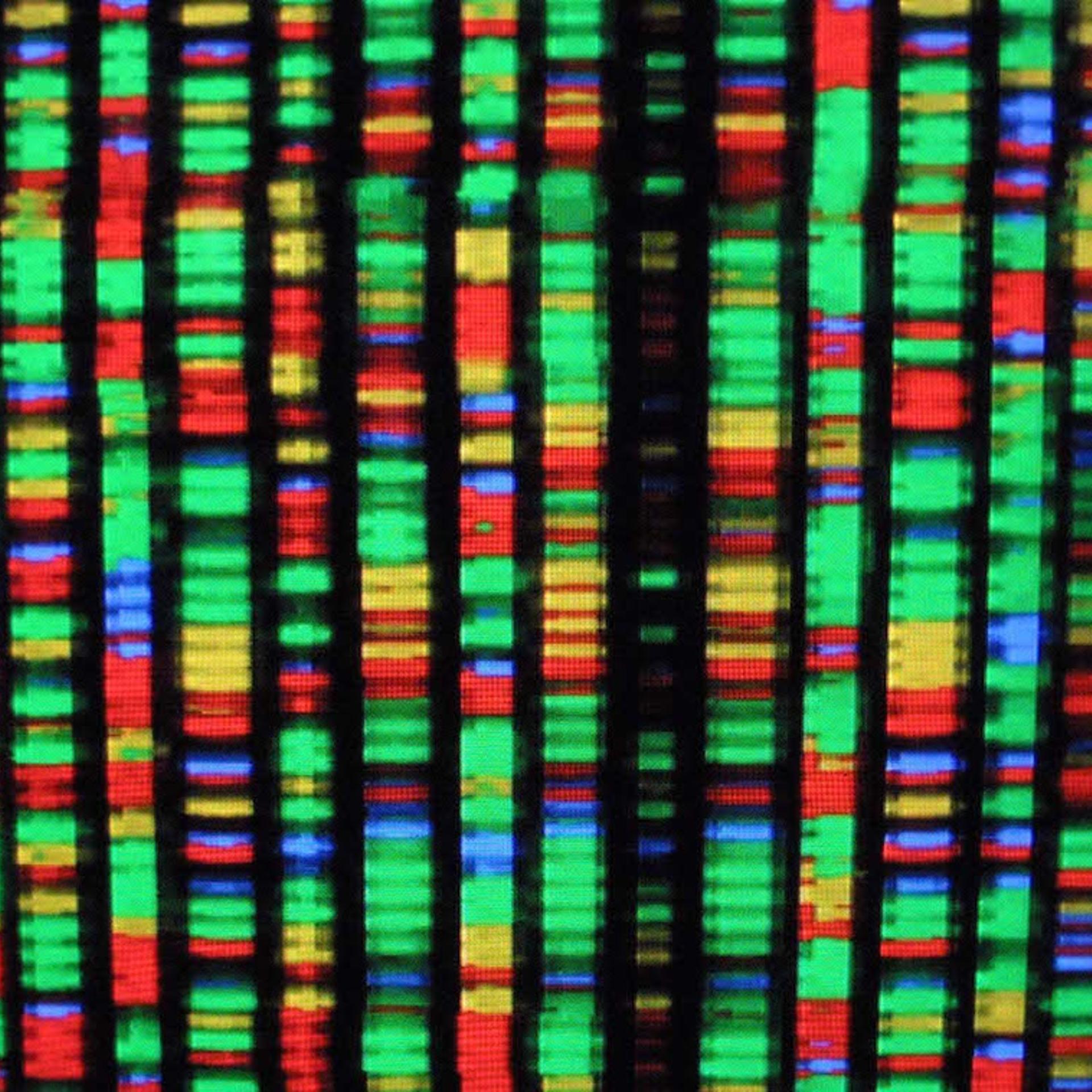 Genomic Workshop