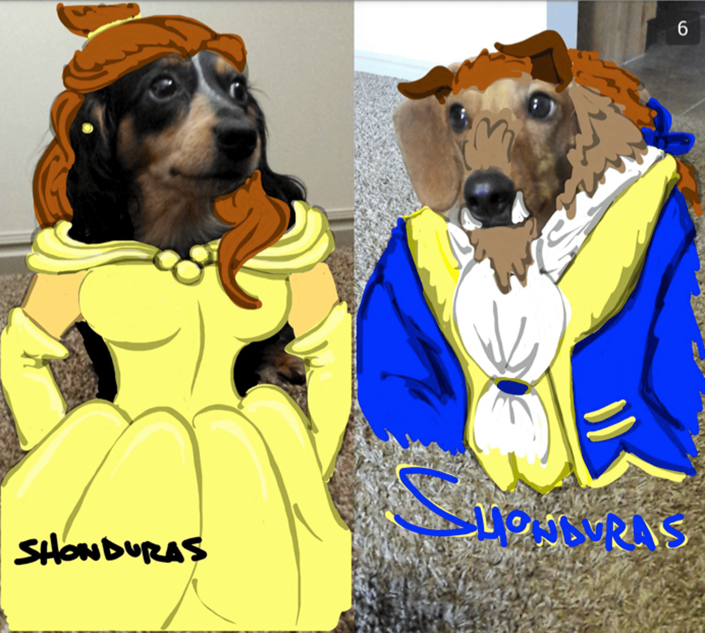 Snapchats by Shonduras