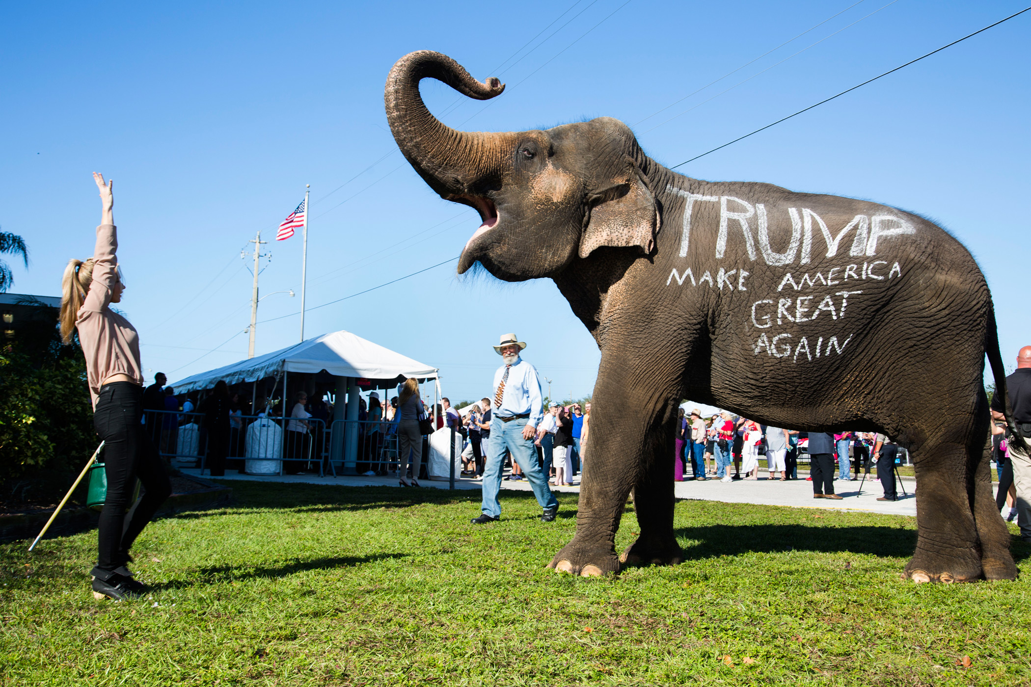 TIME's Best Photojournalism of 2015: Photos