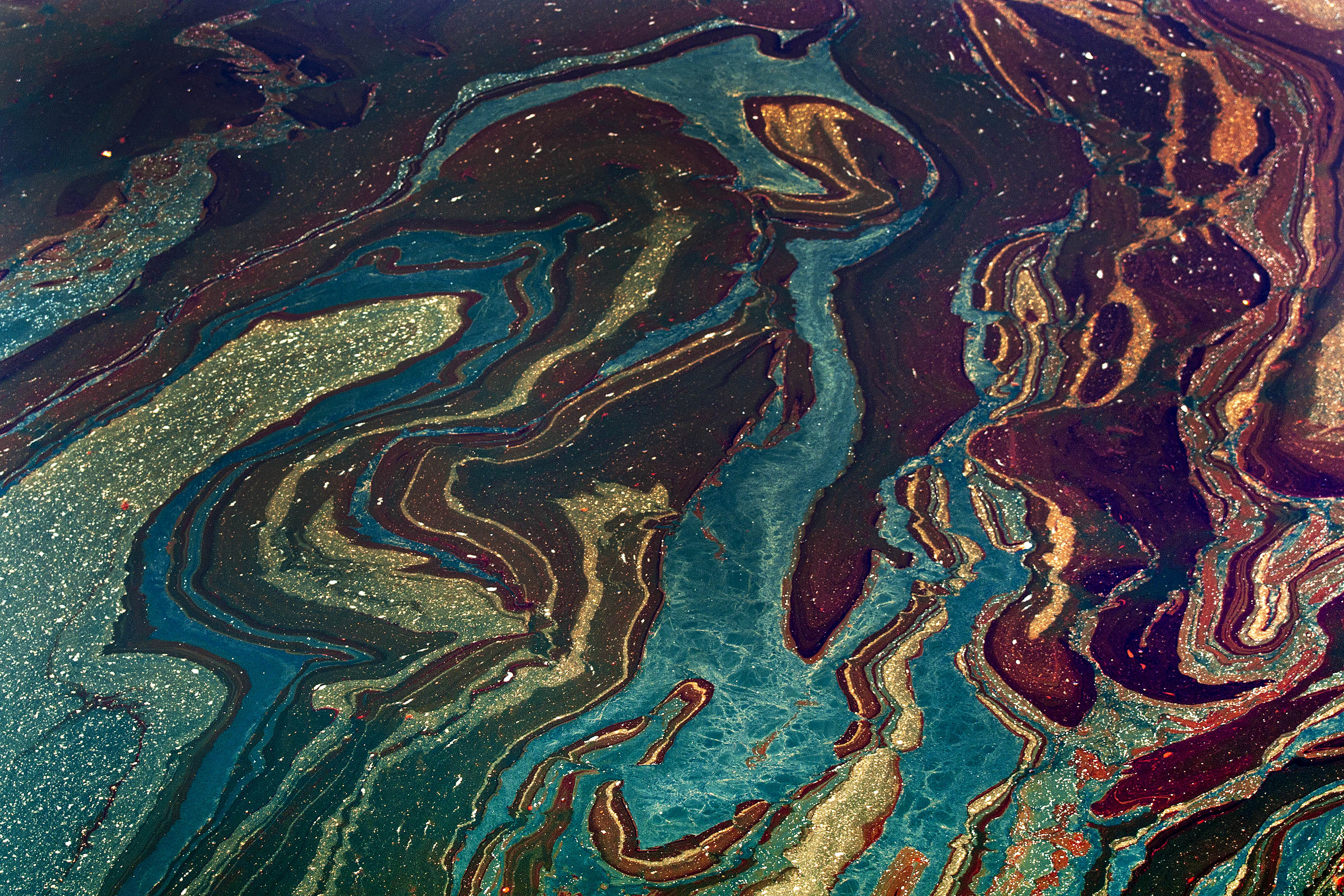 Deepwater Horizon oil spill