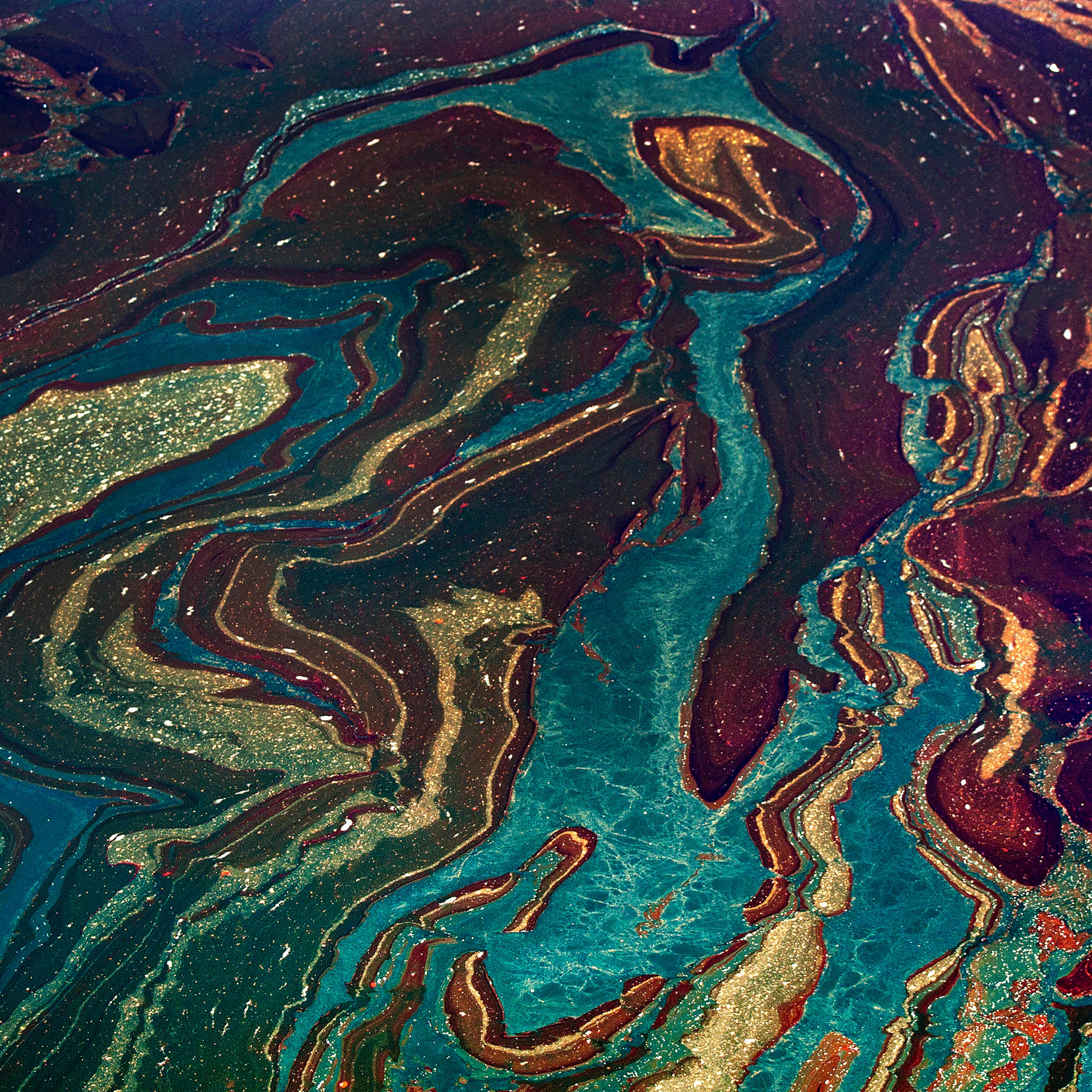 Deepwater Horizon oil spill