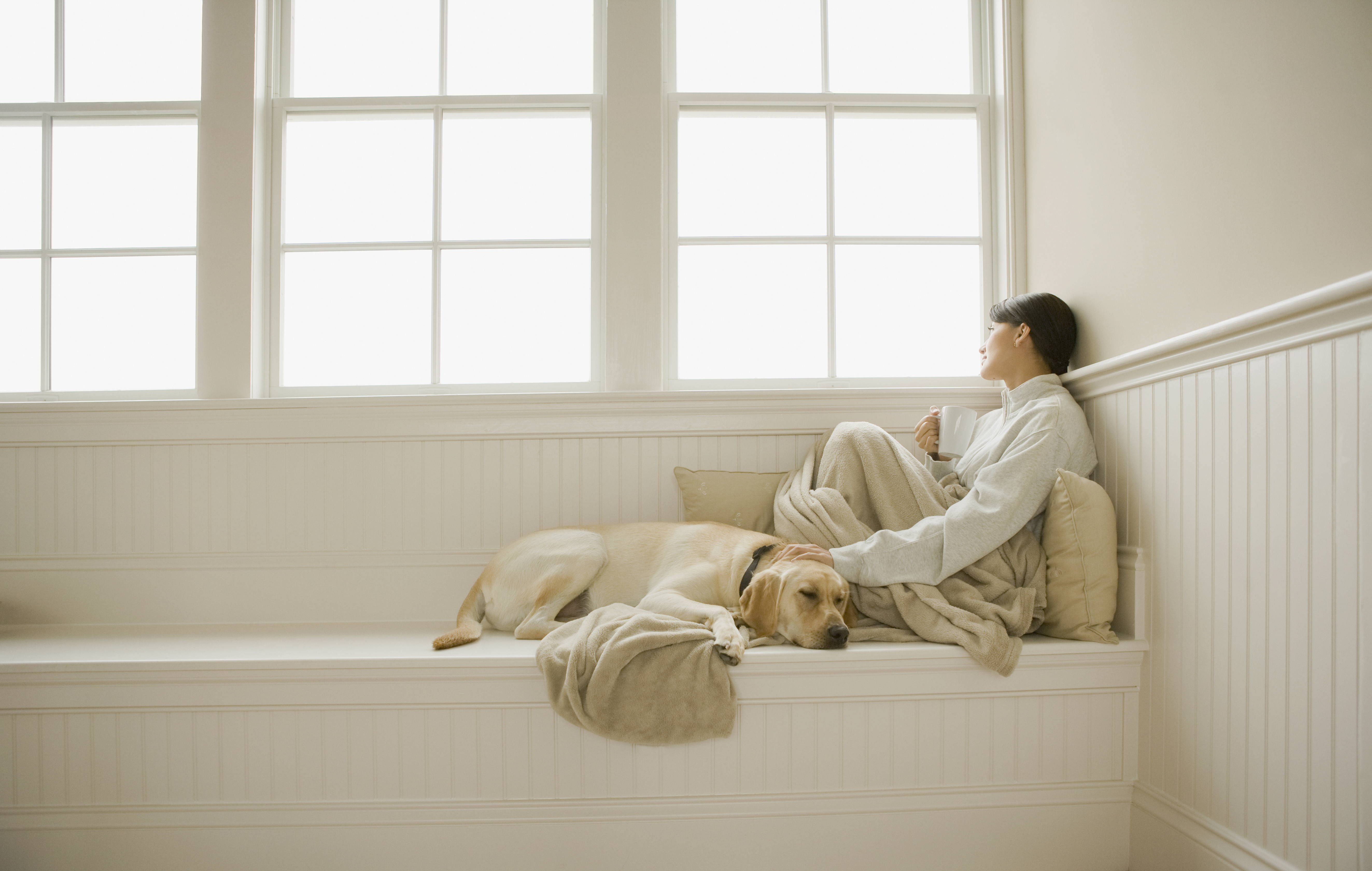 Woman petting dog