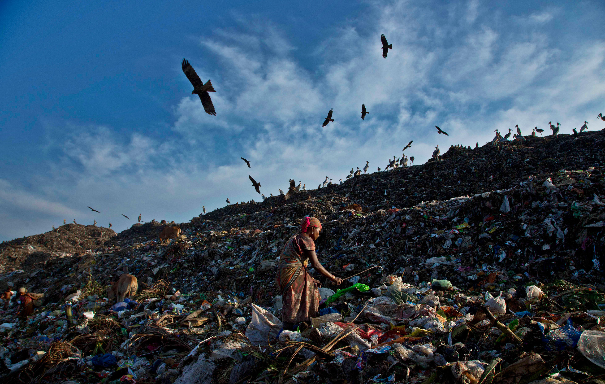 A woman searches for recyclable material at a garbage dumping site on the outskirts of Gauhati, India, Sunday, Oct. 2, 2016. India is scheduled to deposit the ratification instruments of the Paris Agreement on Climate Change with the U.N. on Oct. 2, the 