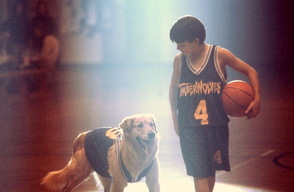 Most Famous Dogs - Buddy