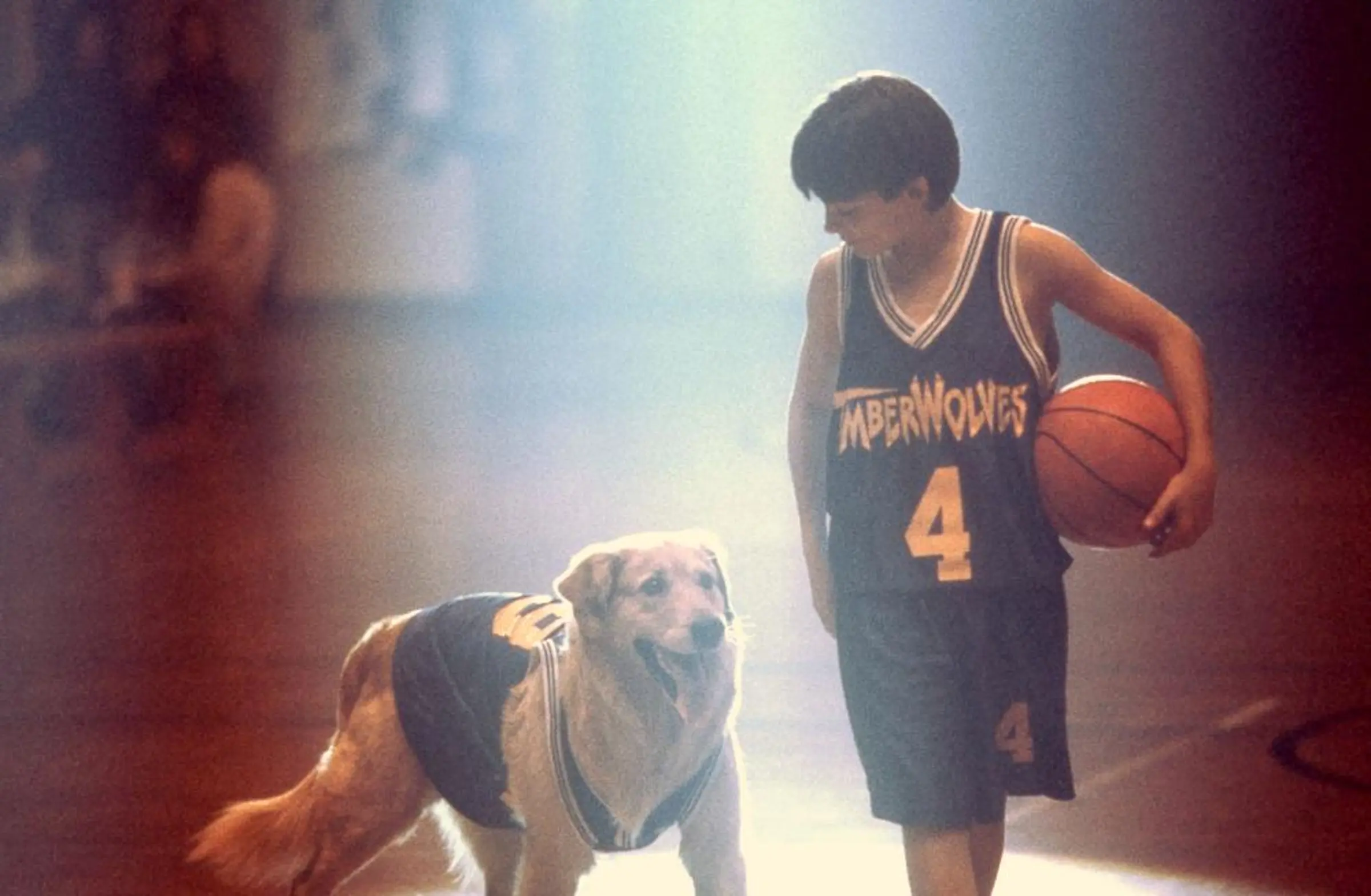 Most Famous Dogs - Buddy