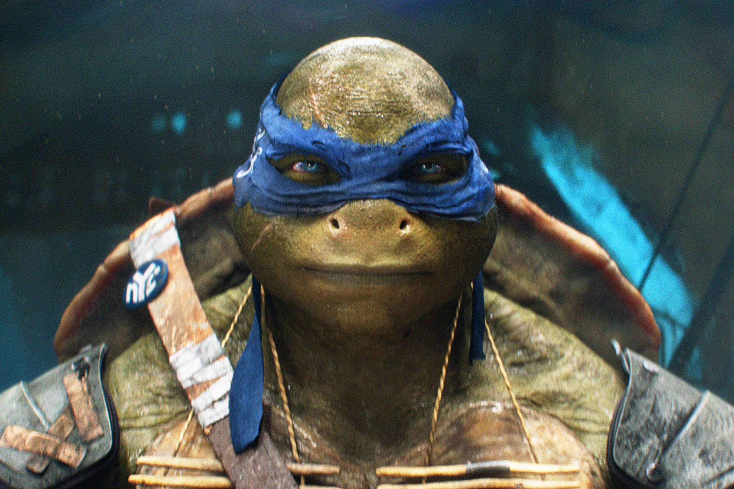 TEENAGE MUTANT NINJA TURTLES