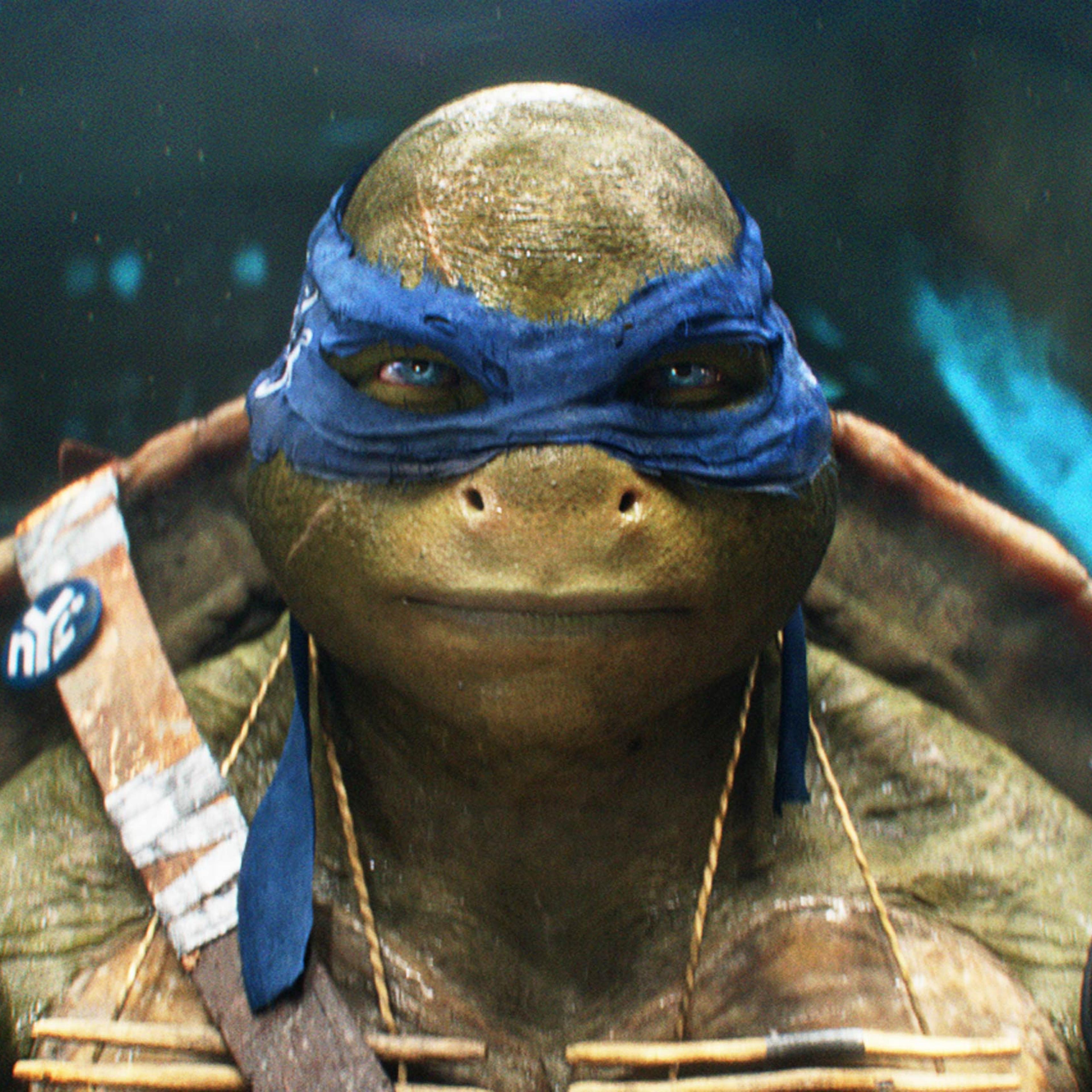 TEENAGE MUTANT NINJA TURTLES