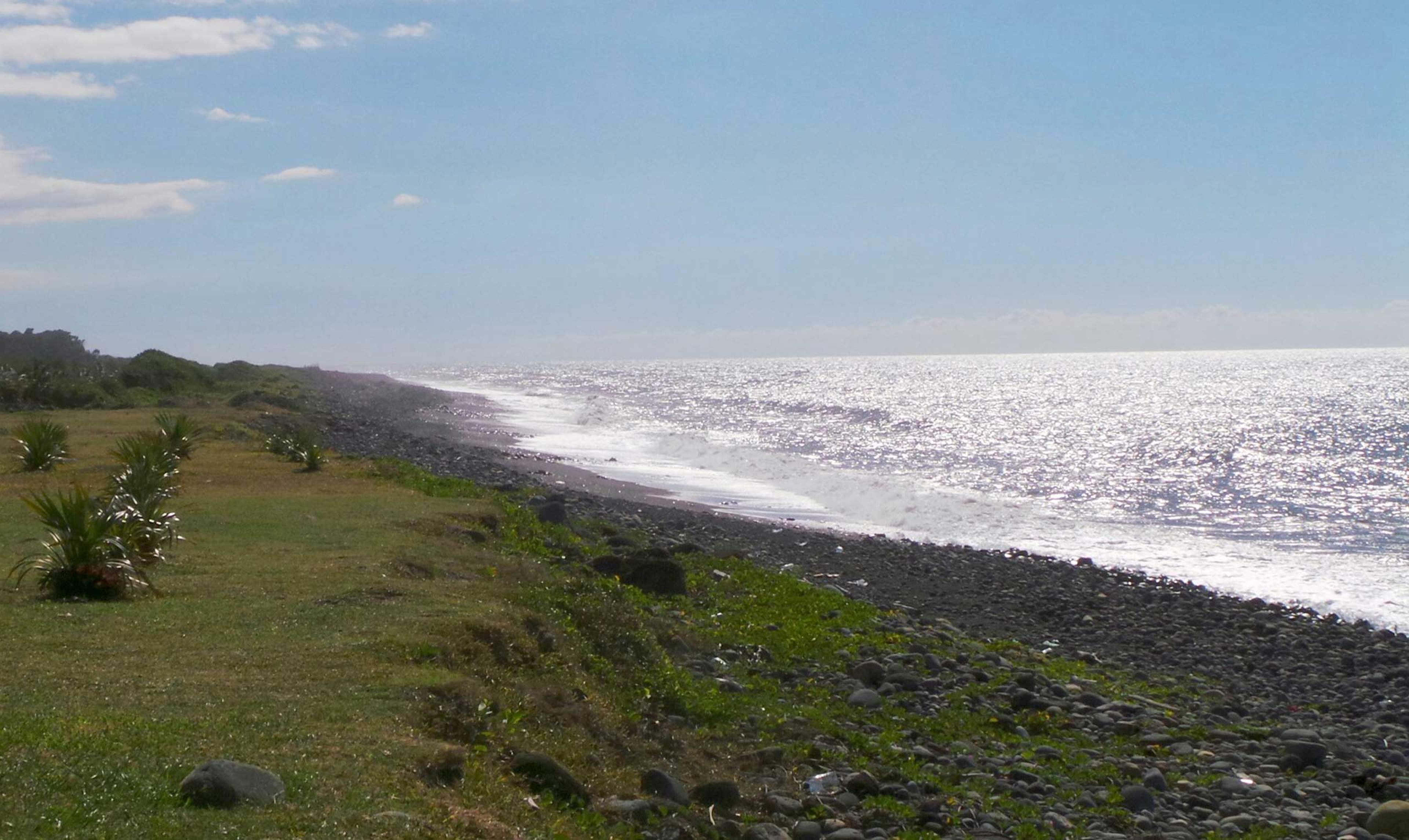 Suspected Malaysia airlines MH370 Debris Renunion
