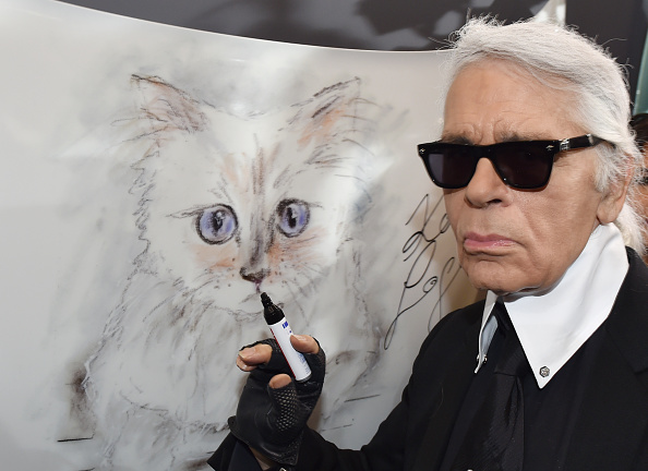 The fashion designer Karl Lagerfeld stands at the vernissage 'Corsa Karl und Choupette' for his photo calendar in the Palazzo Italia at a drawing of his Burma cat.