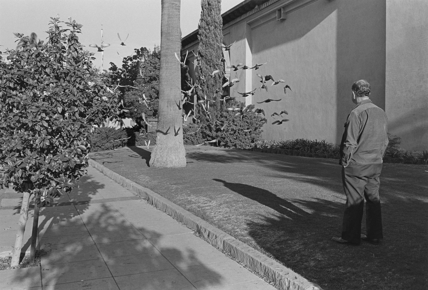 Henry Wessel's Californication
