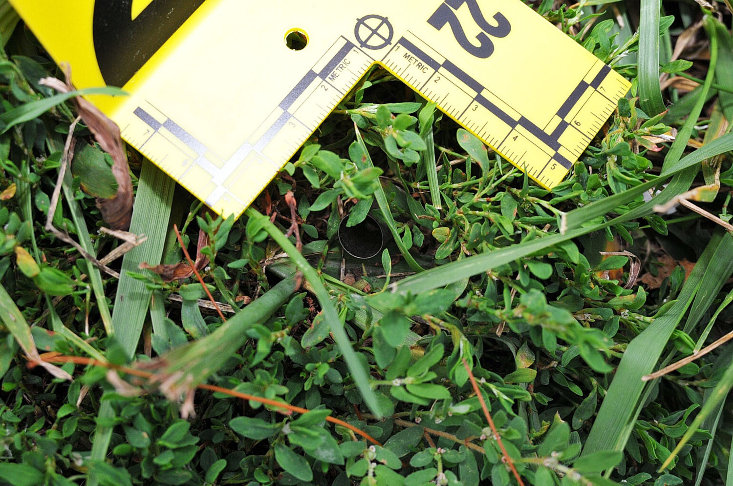An undated evidence photograph made available by the St. Louis County prosecutors office on Nov. 25, 2014 shows the a bullet casing from the gun of Ferguson police officer Darren Wilson that was used in the shooting death of teenager Michael Brown in Aug