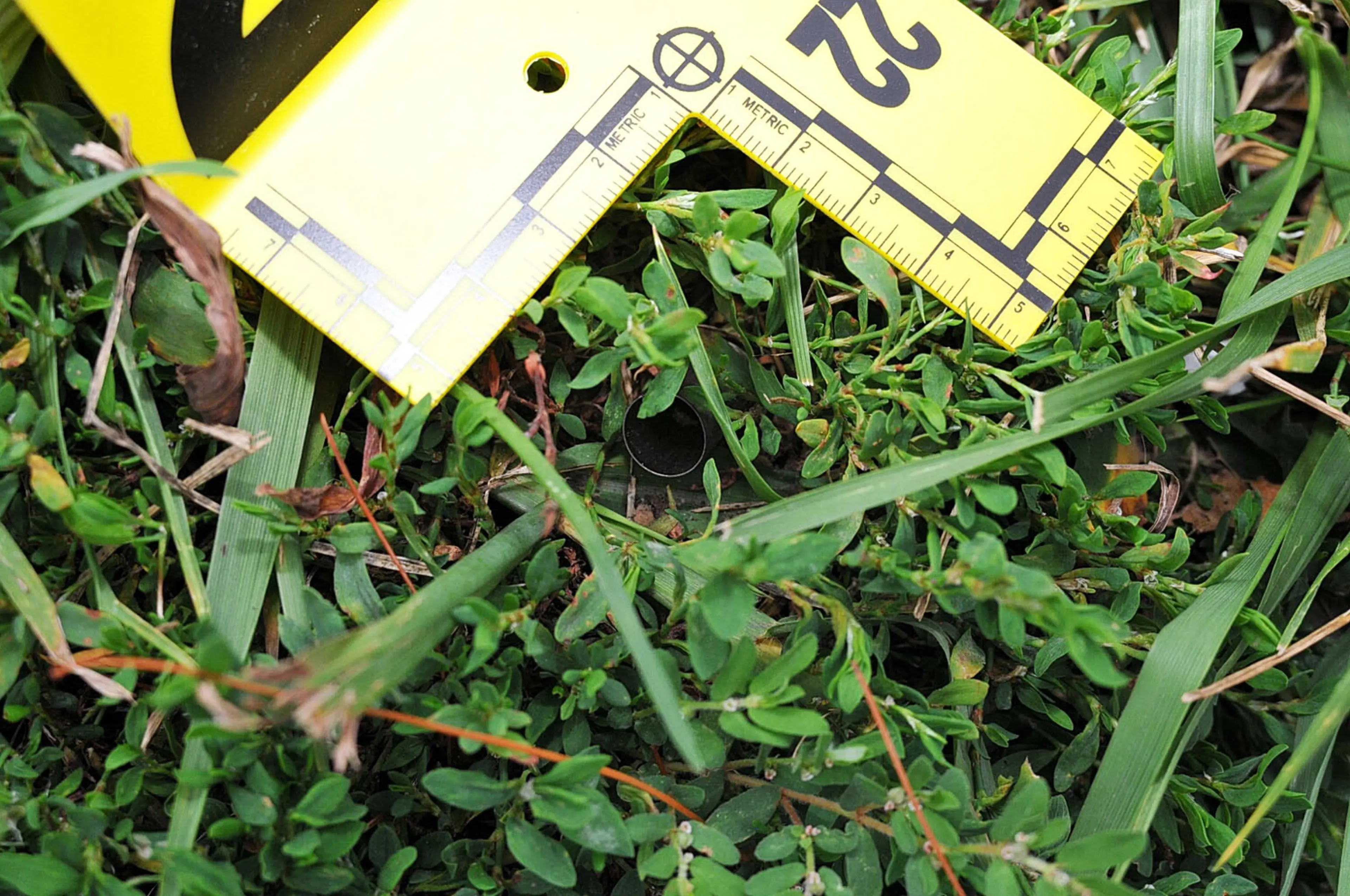 An undated evidence photograph made available by the St. Louis County prosecutors office on Nov. 25, 2014 shows the a bullet casing from the gun of Ferguson police officer Darren Wilson that was used in the shooting death of teenager Michael Brown in Aug