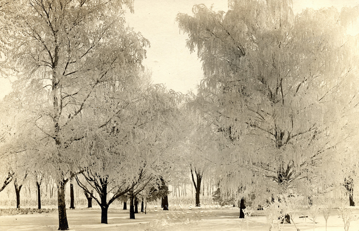 After The Ice Storm
