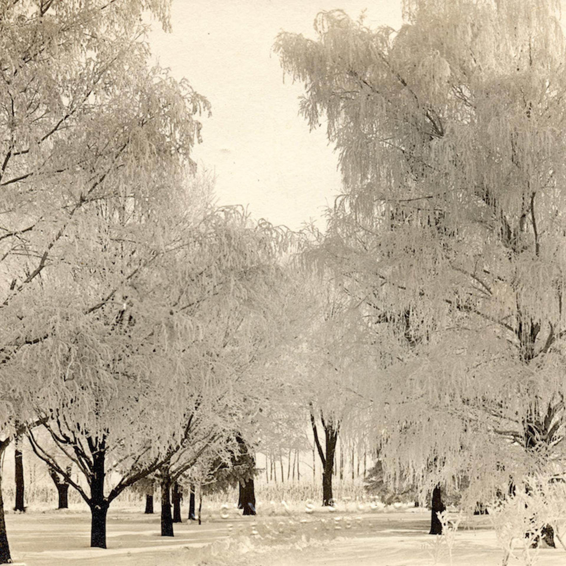 After The Ice Storm