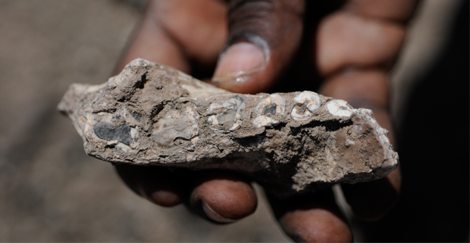 AUSTRALOPITHECUS DEYIREMEDA