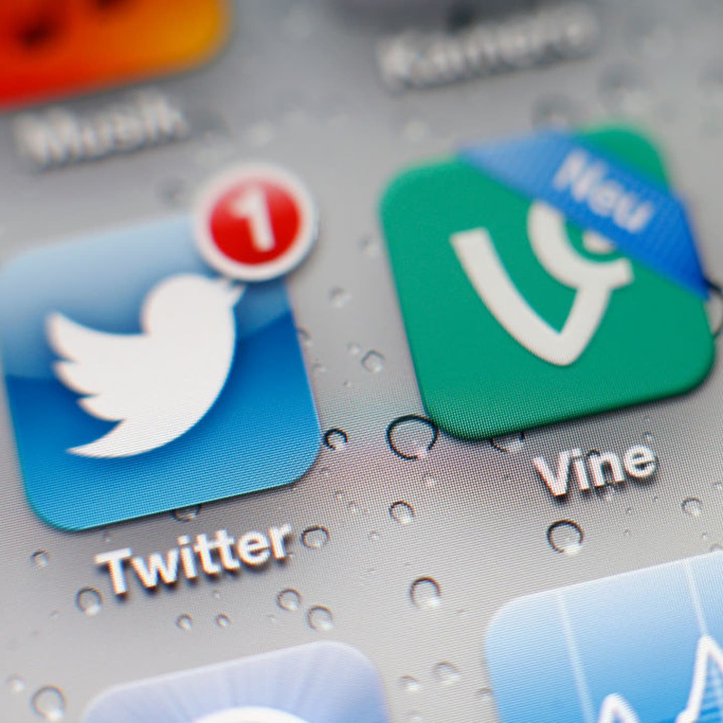 Vine App