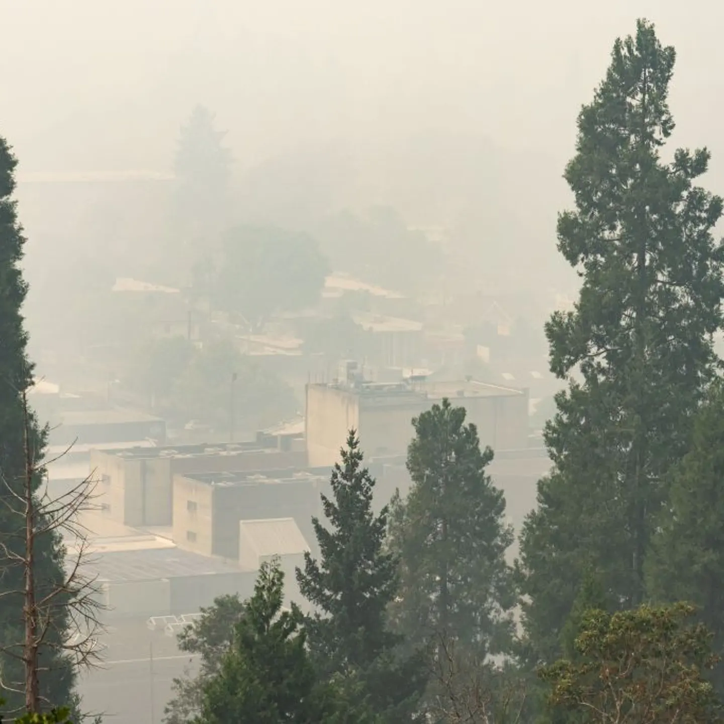 Smoky air due to forest fire and buildings, Eugene, Oregon.