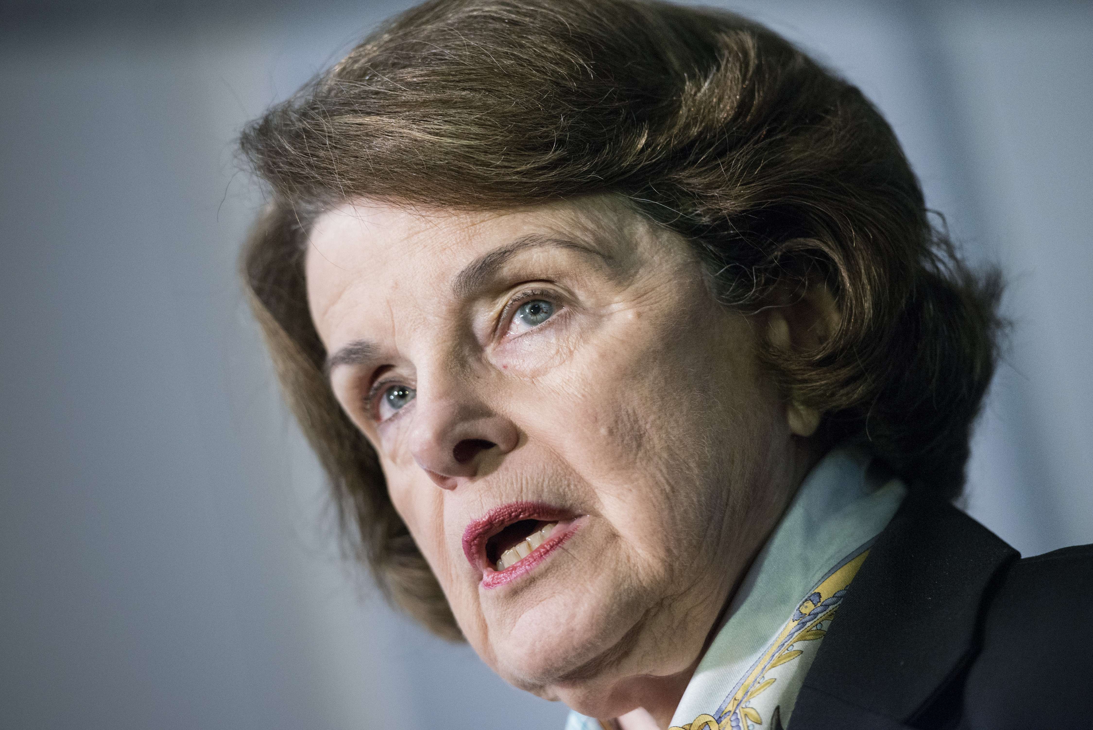 Senator Dianne Feinstein speaks to the media after a closed meeting of the Senate Intelligence Committee on Capitol Hill April 3, 2014 in Washington, DC.